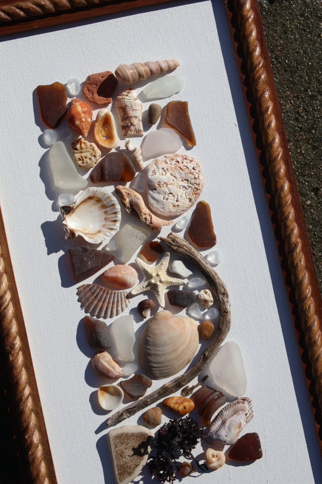 Collection of various seashells and small marine objects on a white surface