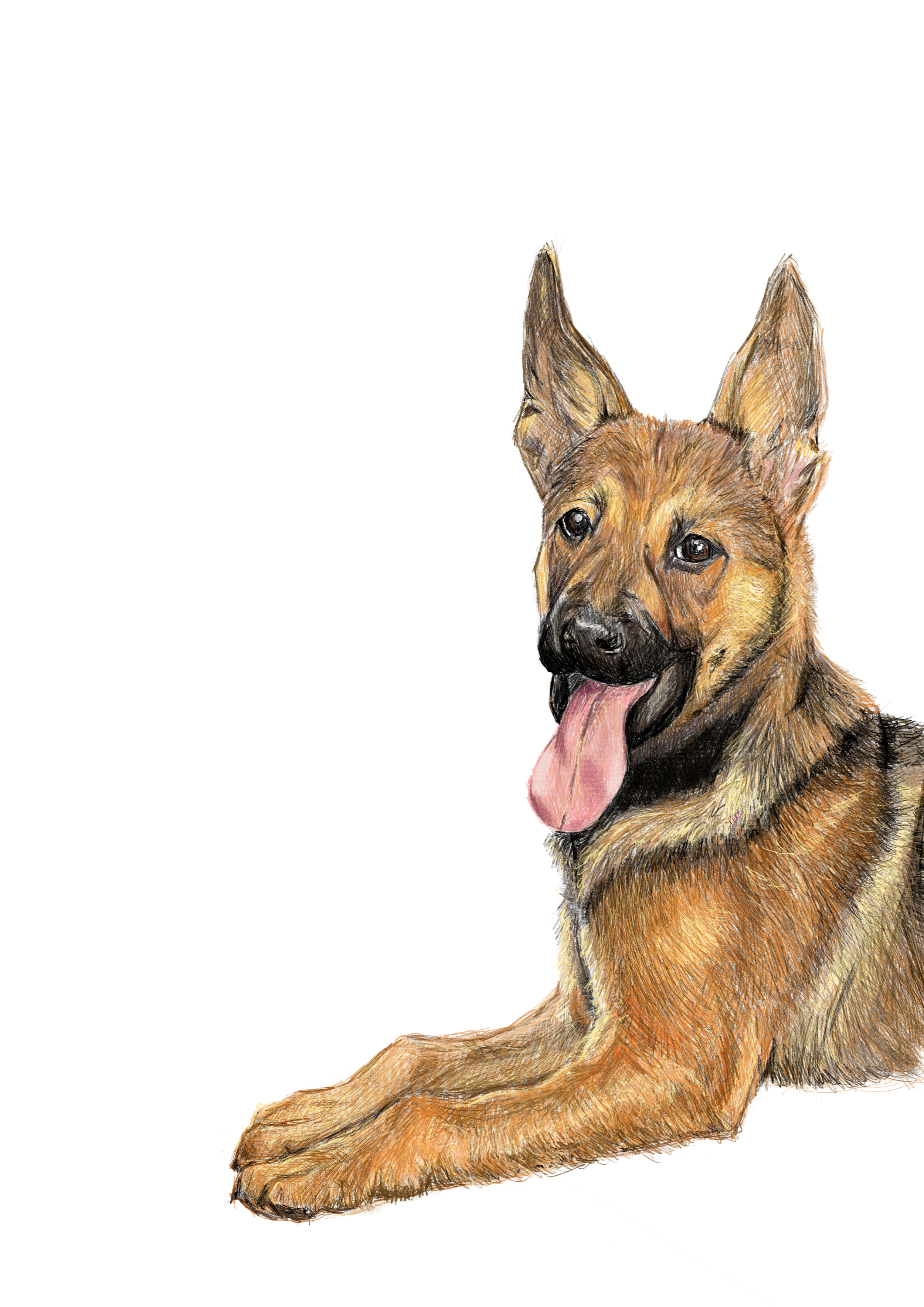 2025 10 19 maddox sticker.png