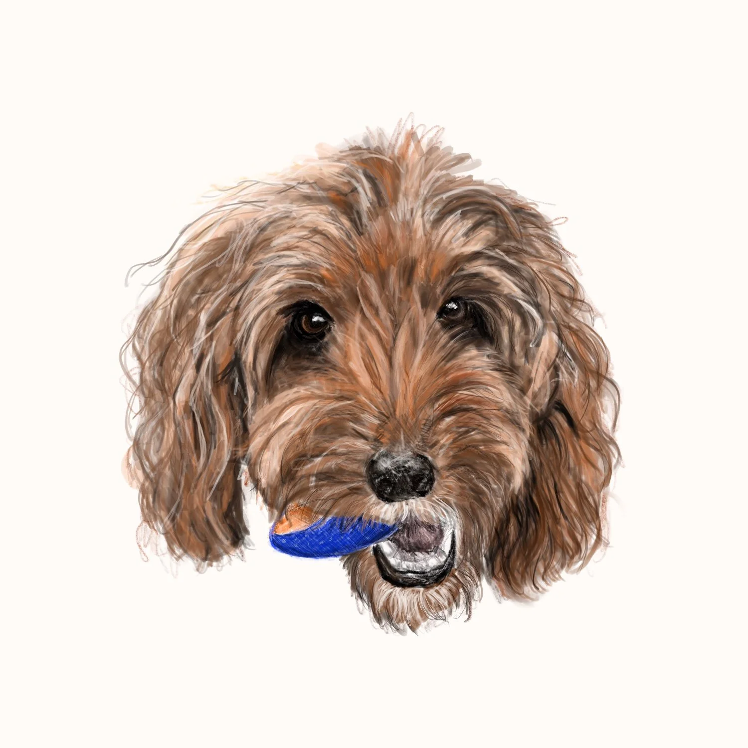 2025 12 07 molly CT 2.JPG