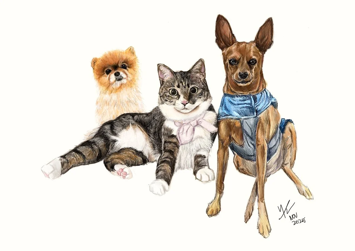 2025 11 13 Jess Ho pets lores.JPG