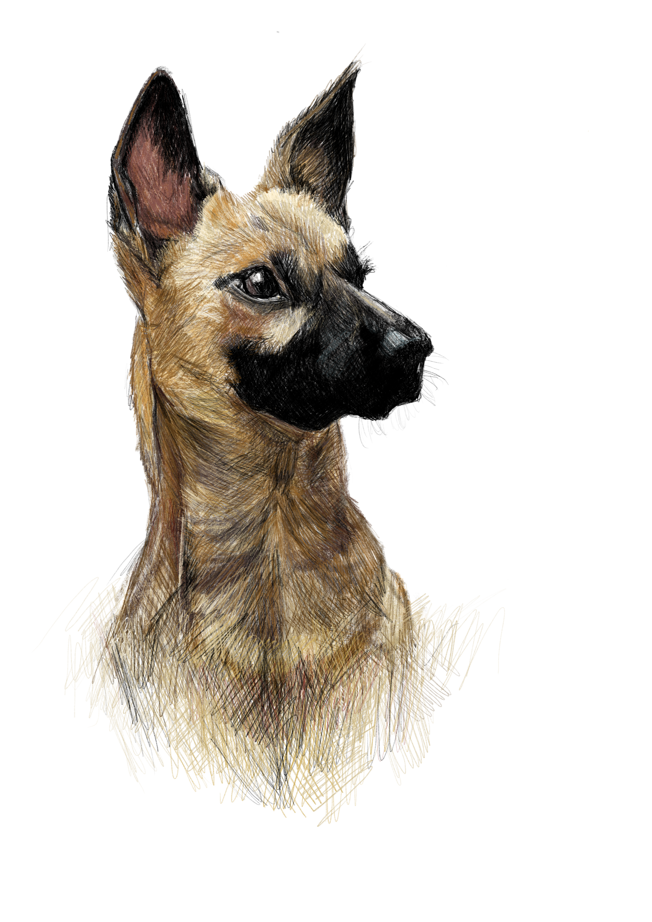 2025 10 16 Nola sticker.png