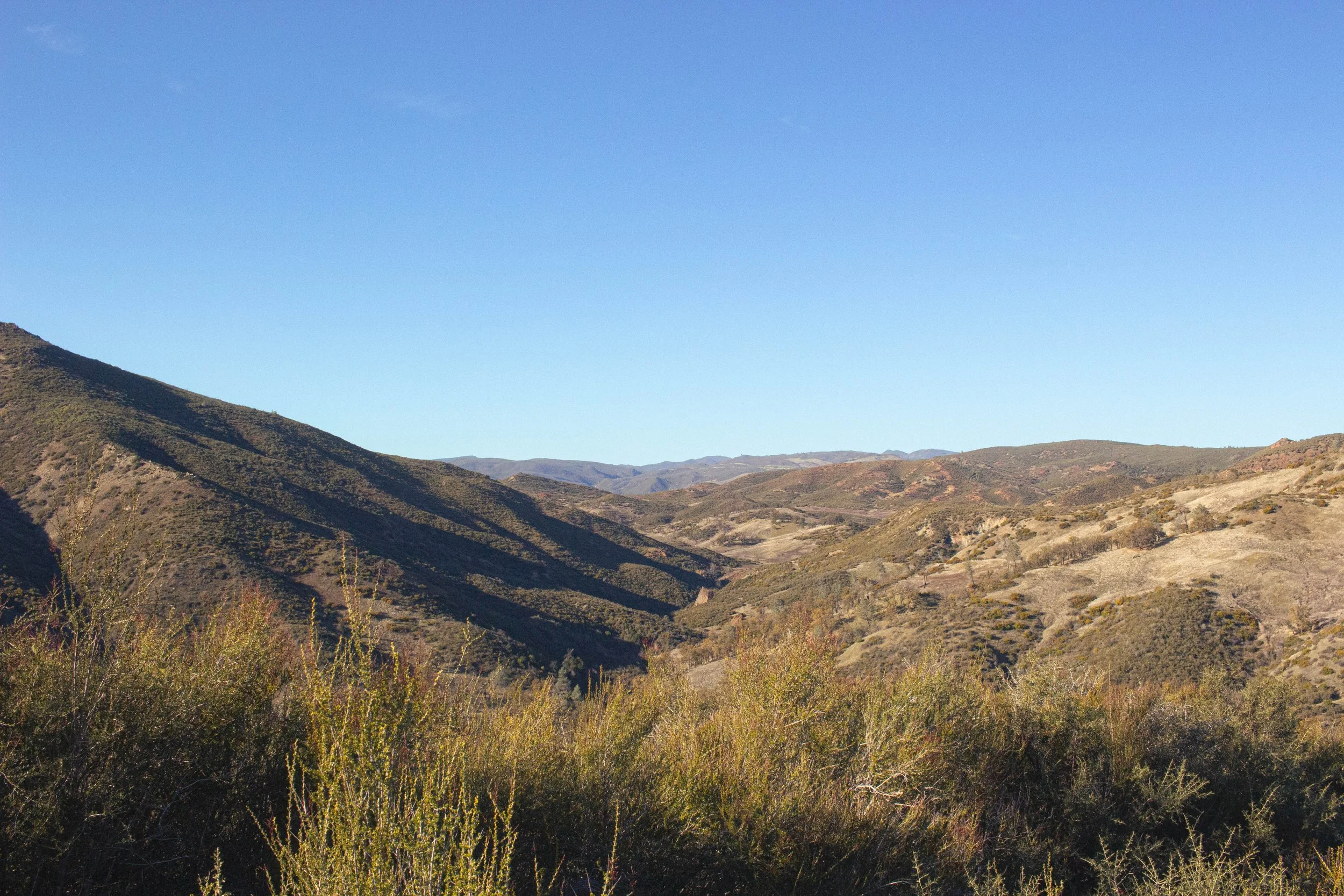 Brush Pants and Chaps for California Chaparral: A NorCal Upland Hunter's Gear Guide