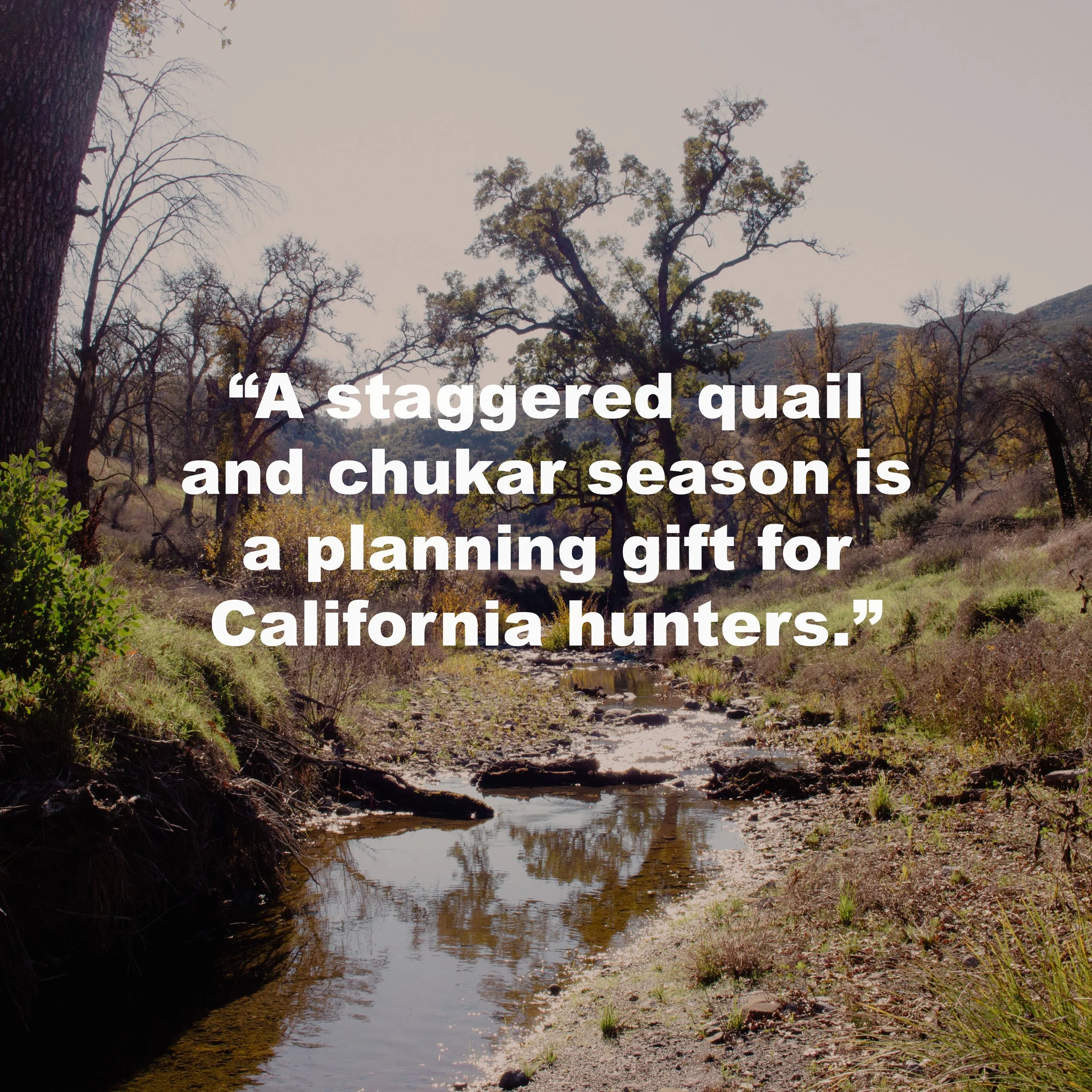 Planning the 2026-27 California Quail and Chukar Season: Zones, Dates, and Bag Limits