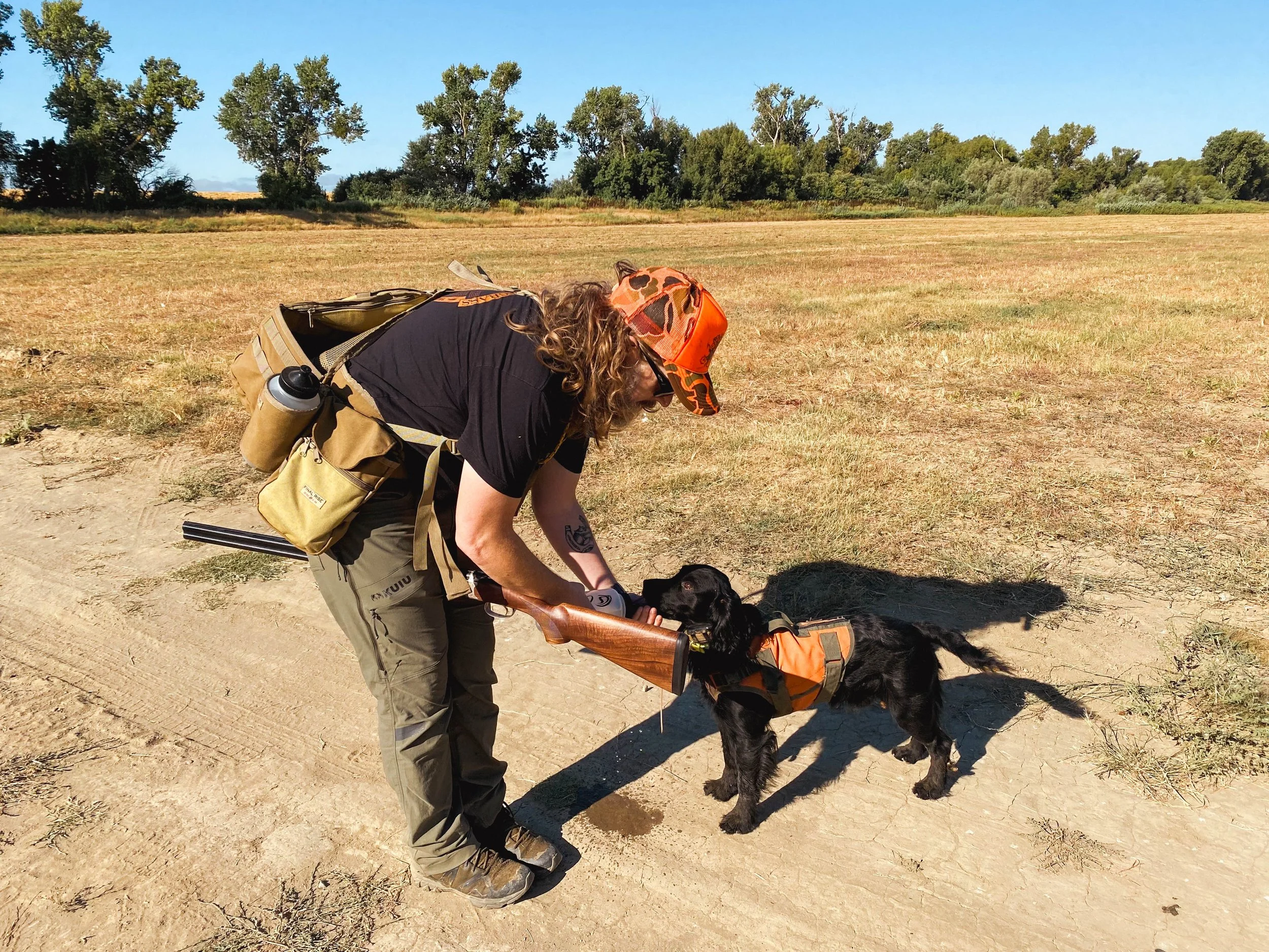 Heat Safety for Bird Dogs: California Off-Season Conditioning as Temps Rise