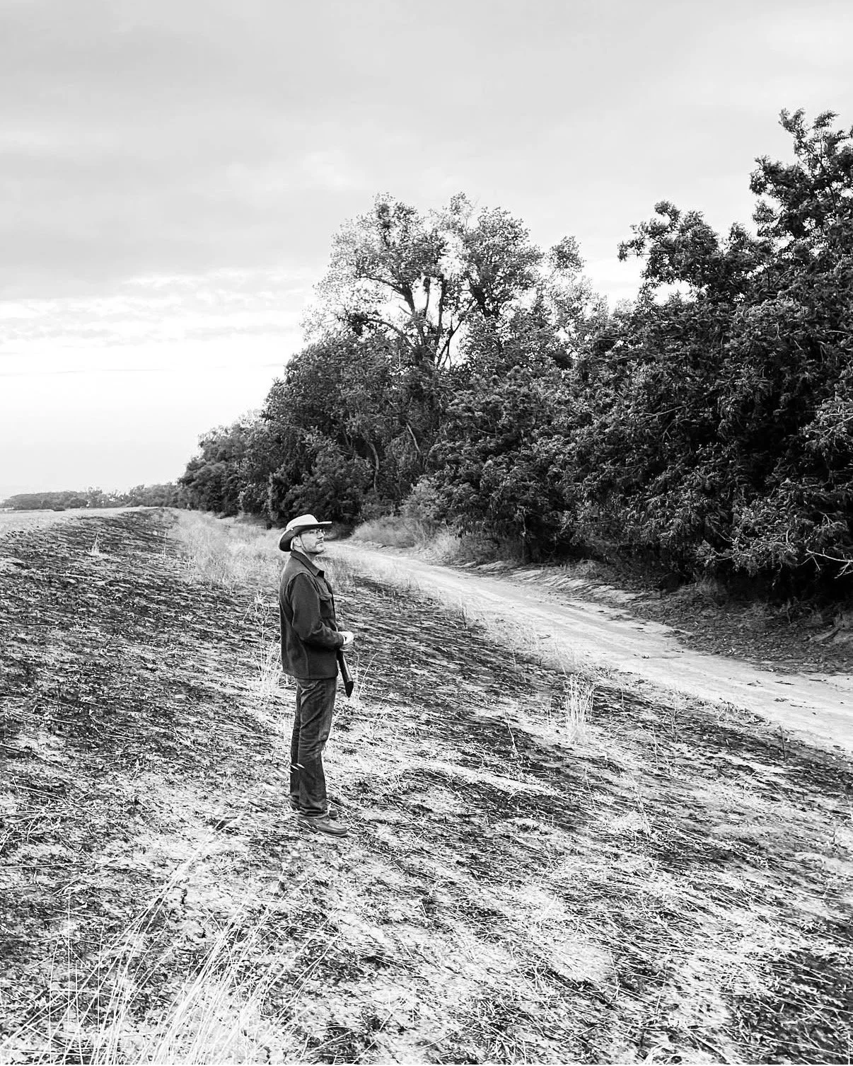 The California Dove Hunting Guide: Where, When, and How to Hunt Mourning Dove on the September Opener and Beyond