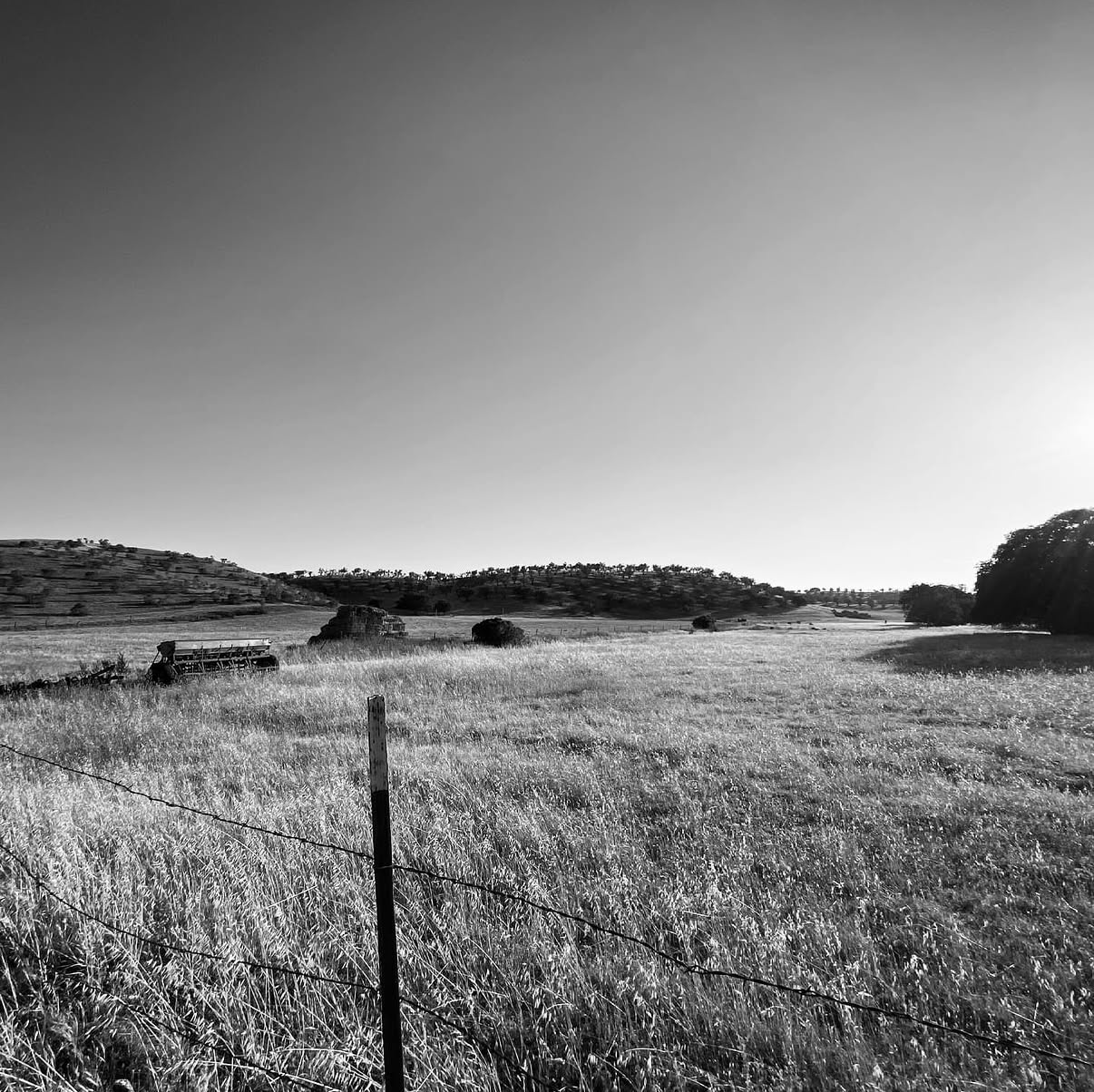 Where to Camp Opener Weekend: Sac Valley CDFW Areas