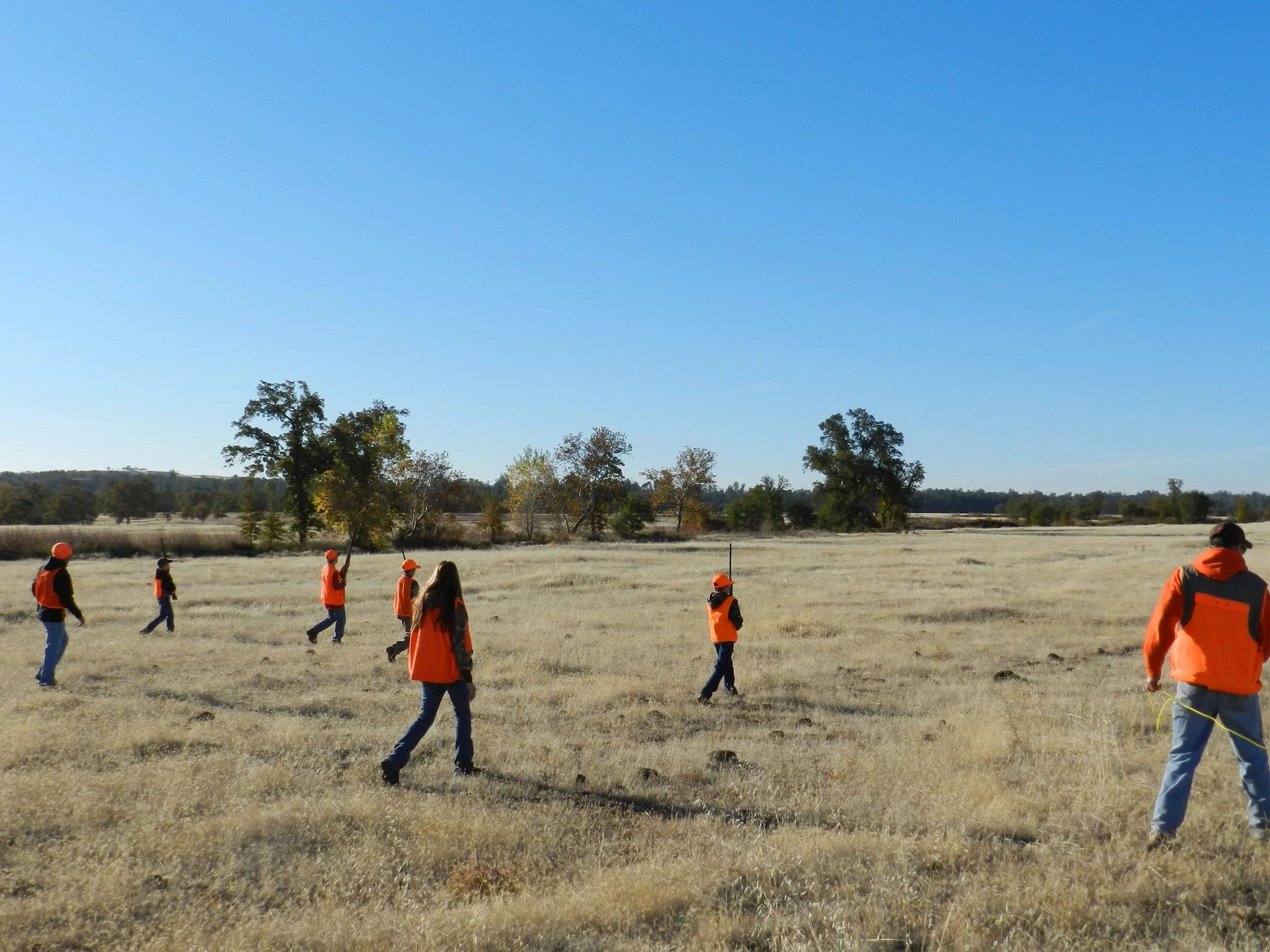 A line of hunters in blaze orange walks blue-oak grassland on BLM's Sacramento River Bend Outstanding Natural Area.