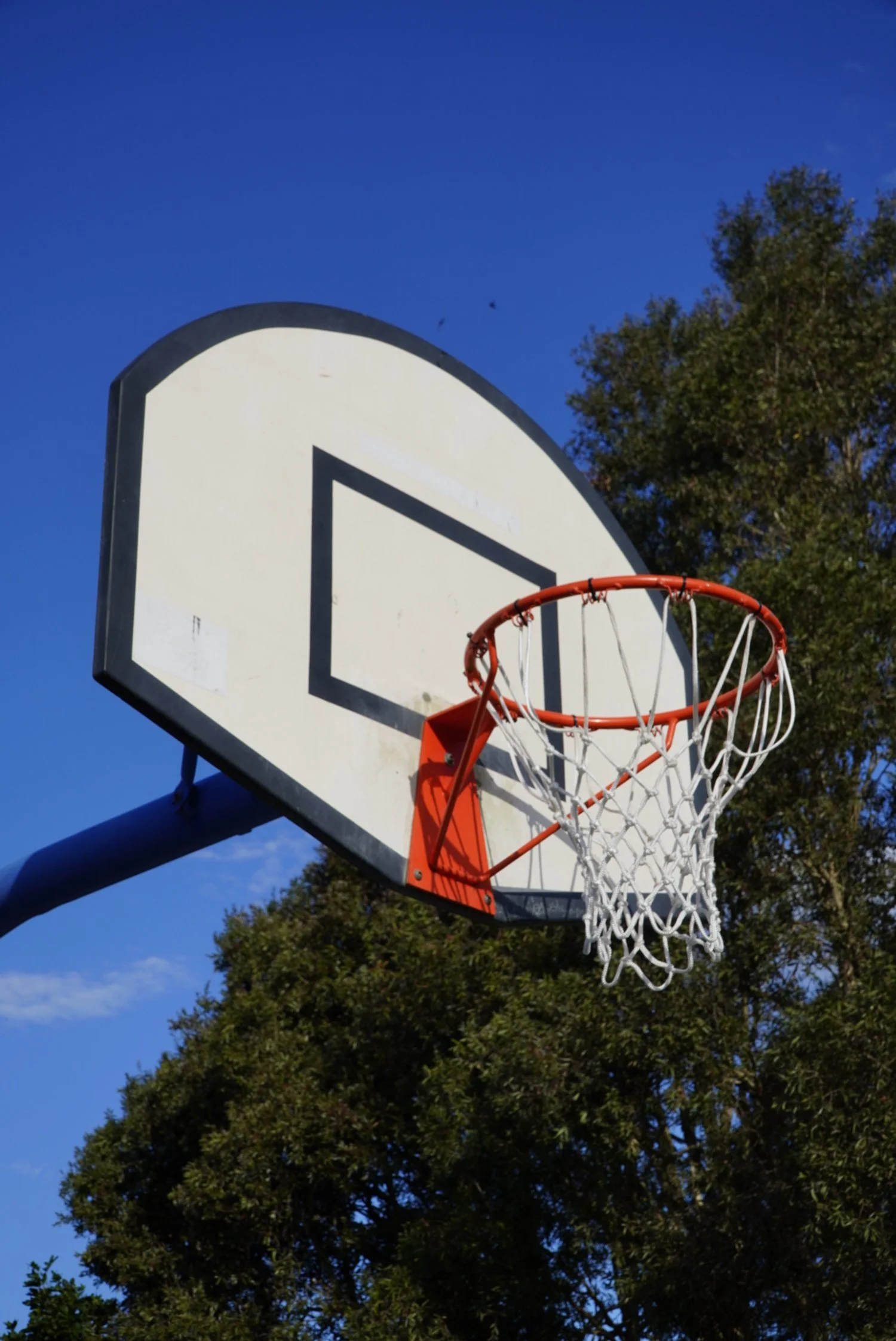 _DSC2281.jpeg