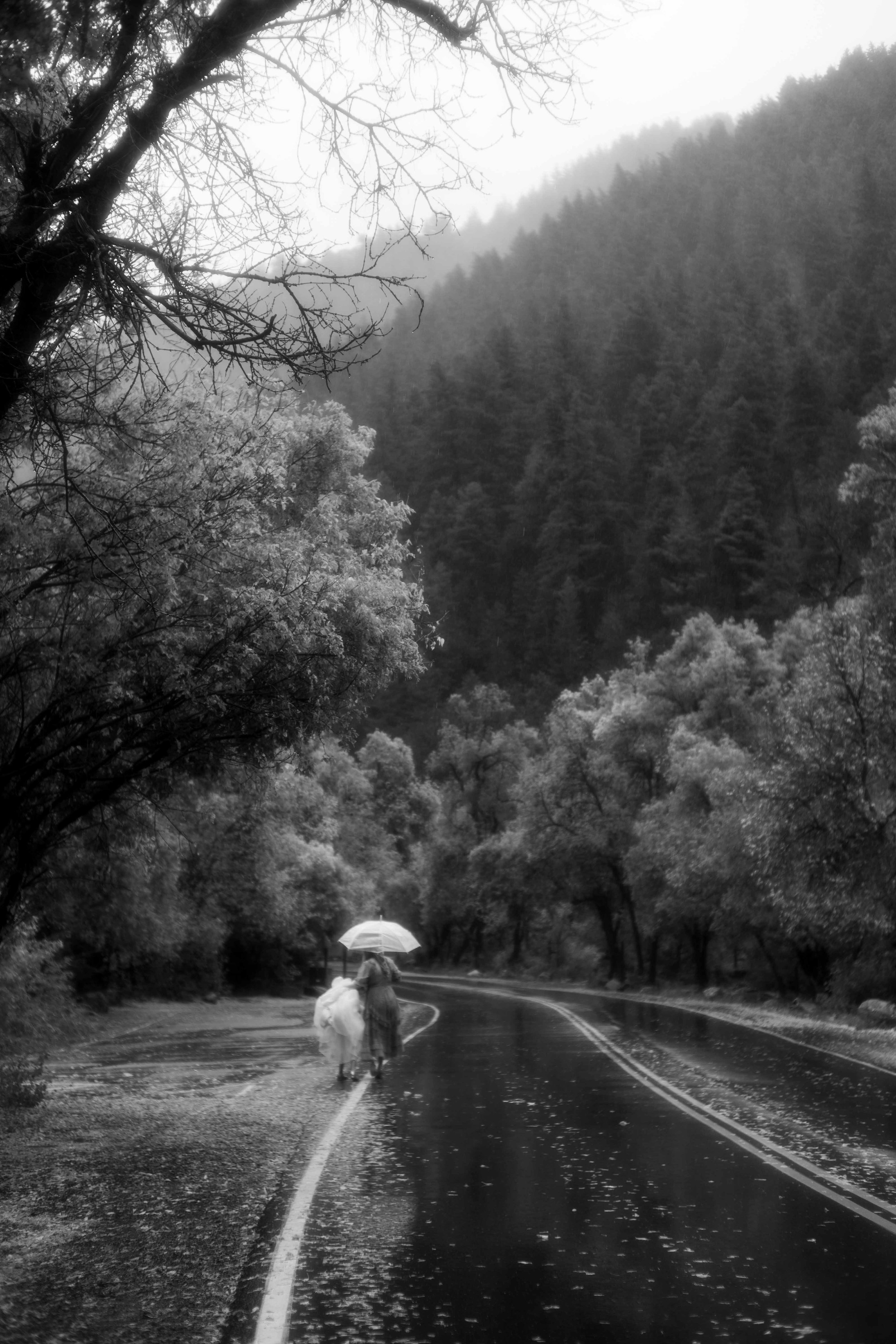 Milcreek Wedding,  Full Gallery (B&W)