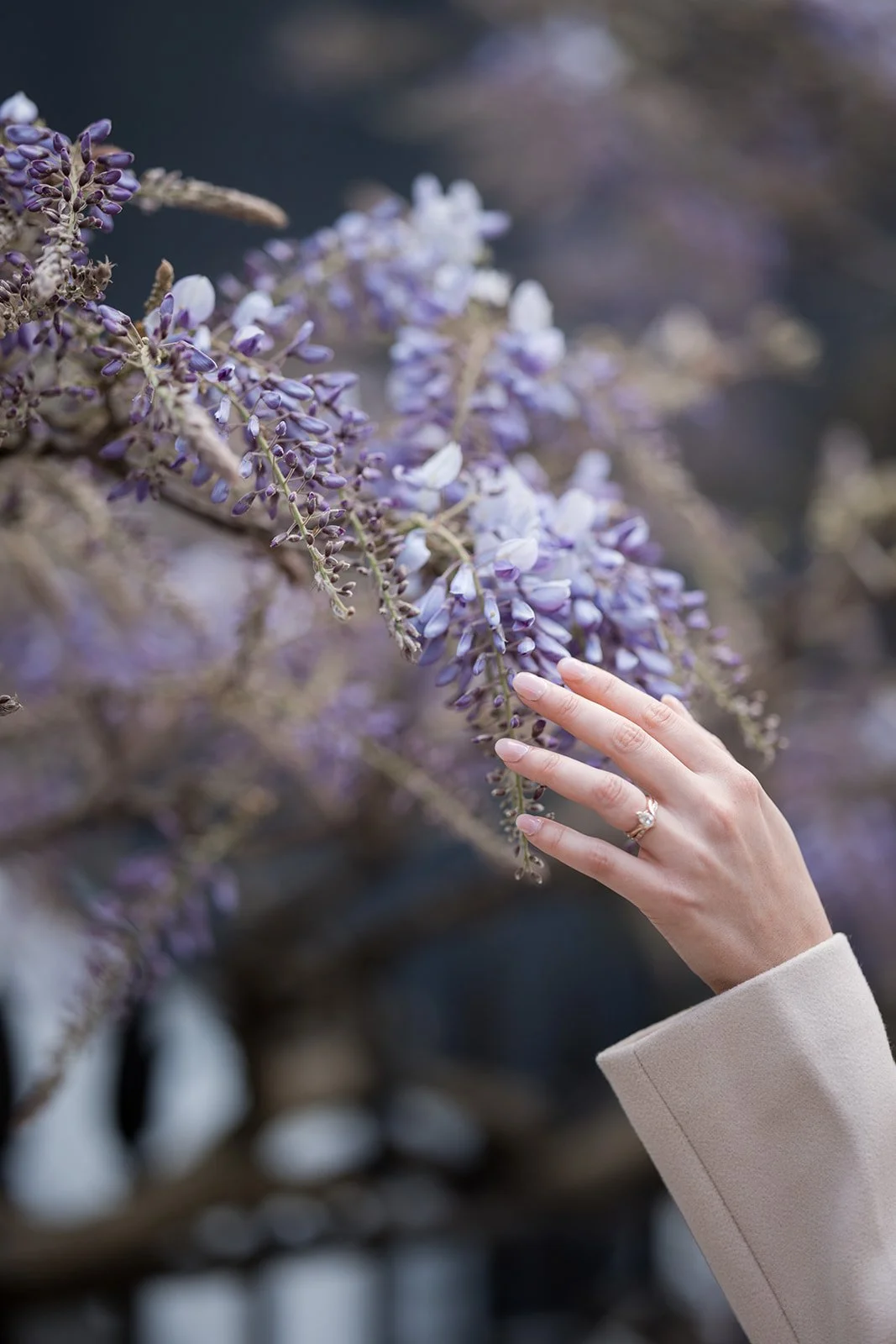 BrittJxAllisonTaylorCreative (31 of 88).jpg