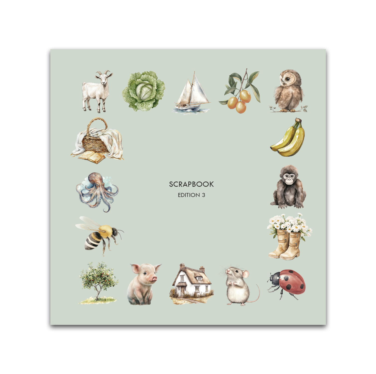 Scrapbook Edition 3 Colours