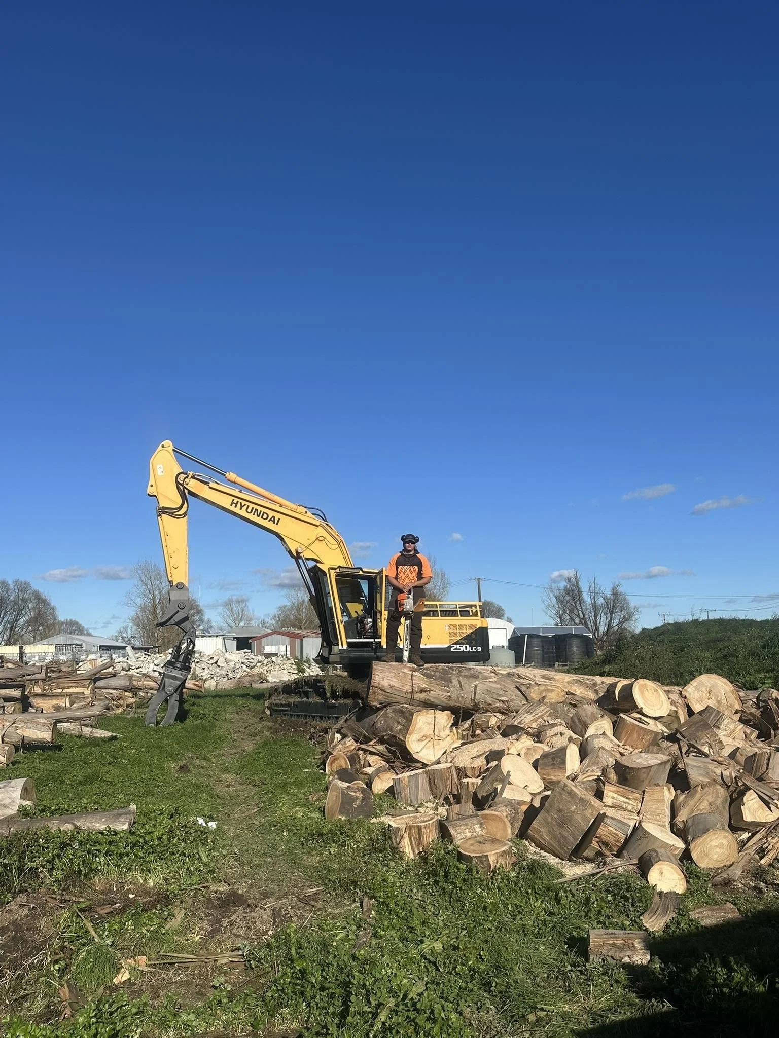 TerraFern worker standing on a log with yellow Hyundai excavator at a Waikato log yard with cut timber and wood debris