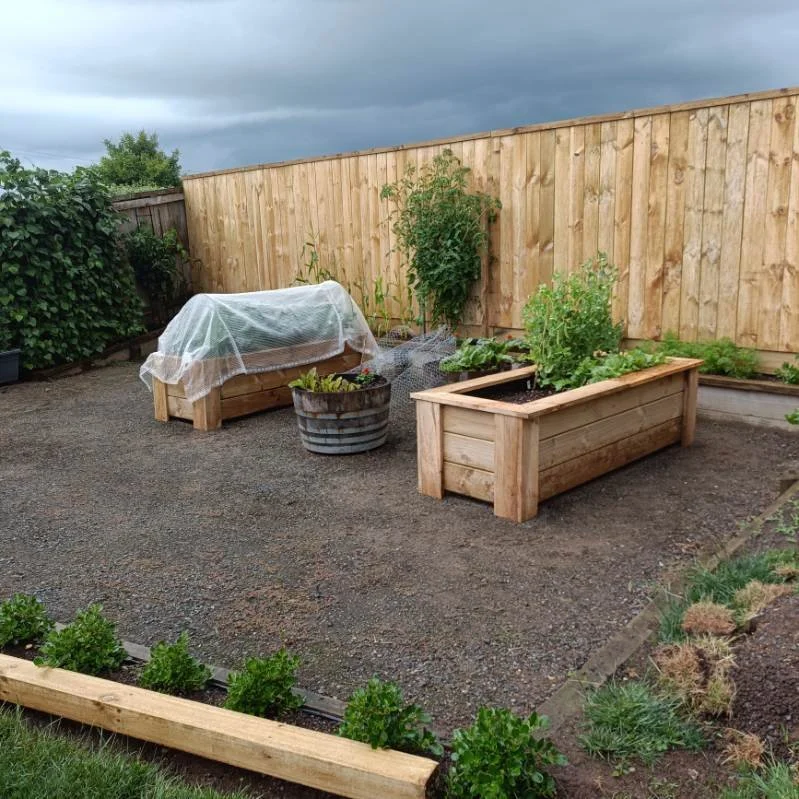Backyard garden with raised timber planter boxes, gravel and timber fencing