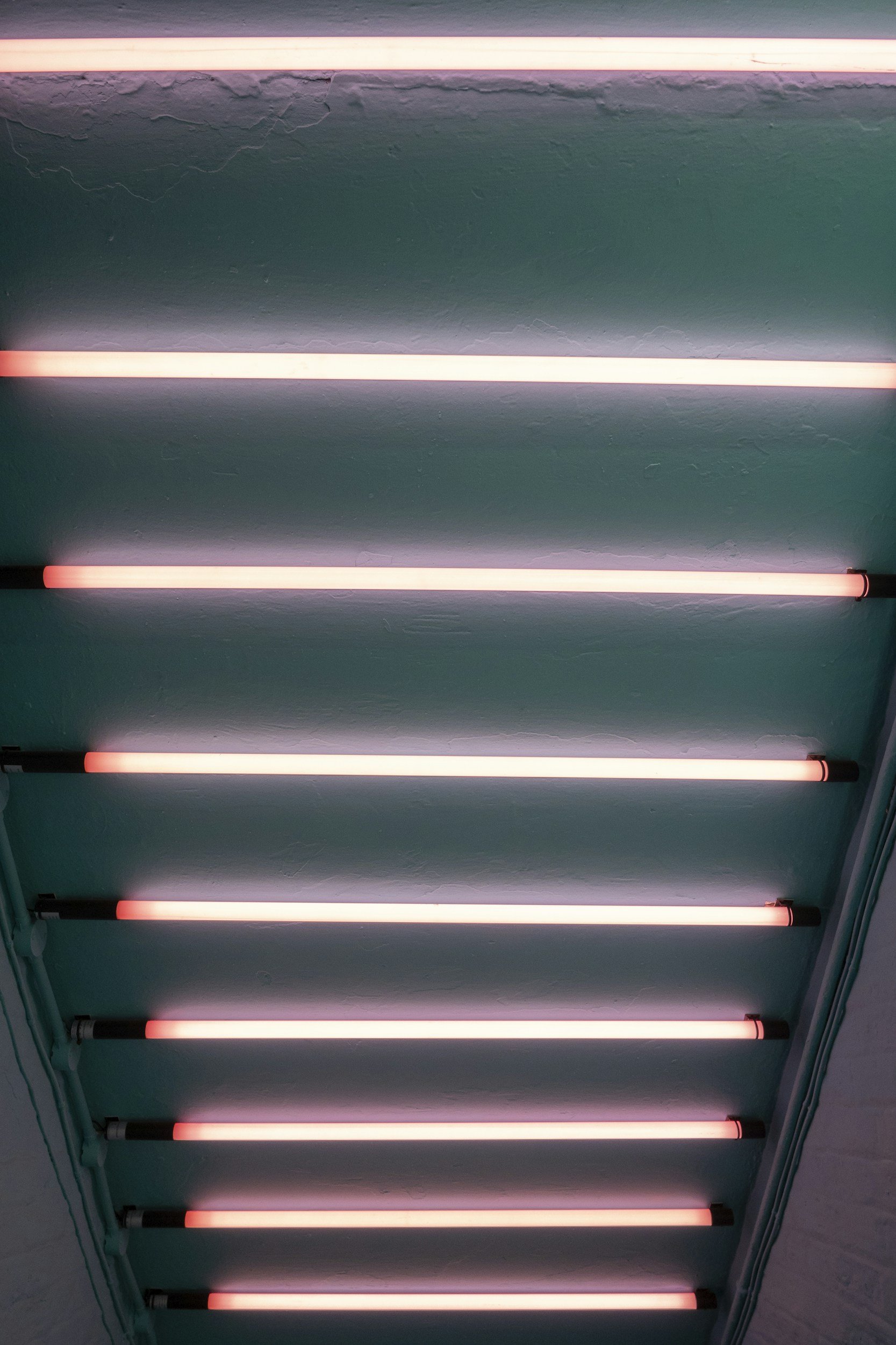 Ceiling with multiple horizontal pink neon lights.