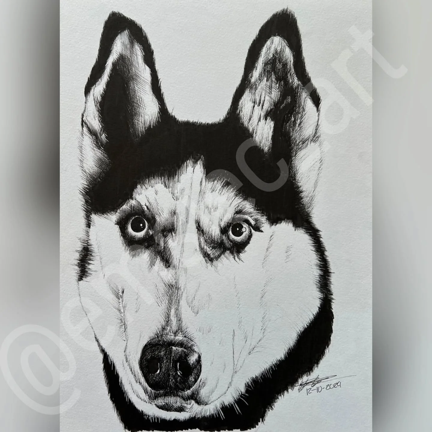 🐶Dog Portrait 2/4🐶
.
.
I had the sweetest opportunity to draw this dog for a client. She is a huge dog lover and has the sweetest bunch of them. They're all 9 x 12 inches, pen and ink with some copic to add some gray shading to them.
.
She has a p