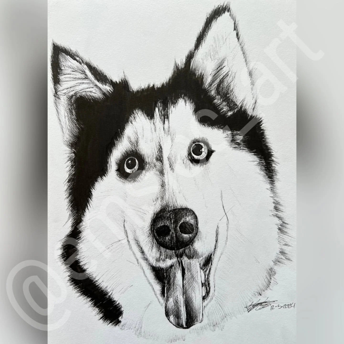 🐶Dog Portrait 1/4🐶
.
.
I had the sweetest opportunity to draw this dog for a client. She is a huge dog lover and has the sweetest bunch of them. They're all 9 x 12 inches, pen and ink with some copic to add some gray shading to them.
.
She has a p