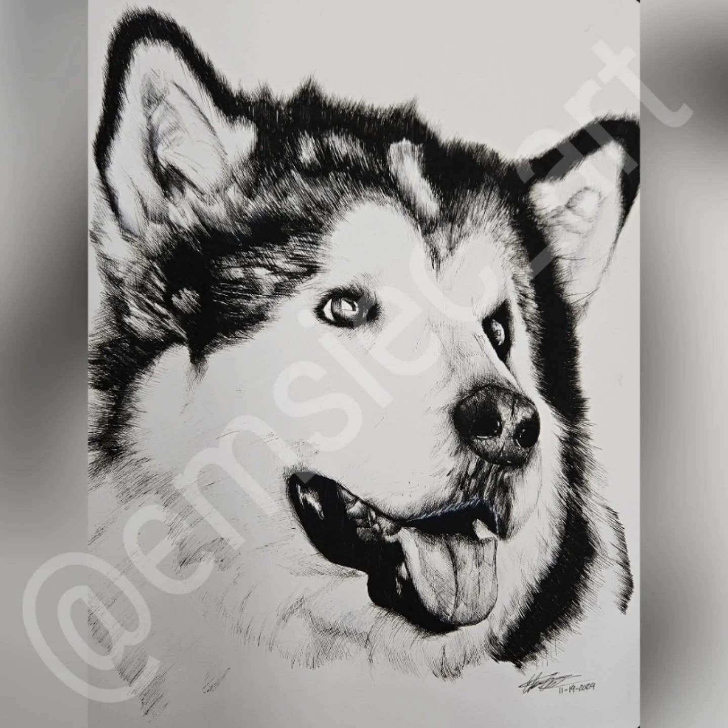 🤍Maija🕊
.
.
This was a comission for a clients sister. Her dog sadly passed away unexpectedly. She reaches out to me to draw her dog as a Christmas present to commemorate her dog in her memory. I feel very honored to draw her dog, and be able to pu