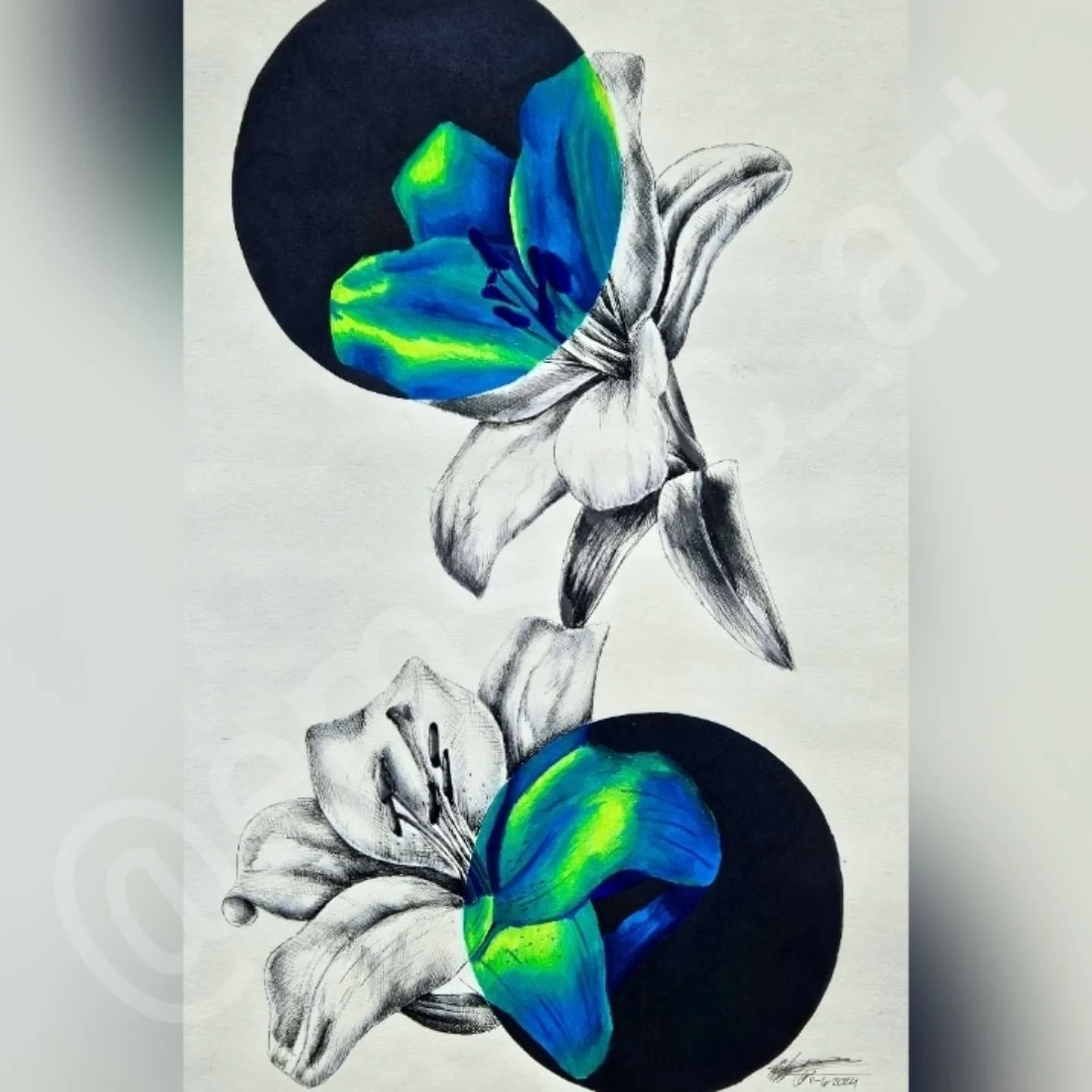🌺Astatic Lilies🌺
.
For my college assignment I was assigned to draw a color wheel/incorporate it in a drawing. This is only part 1 🫣... I had this drawing idea for a while and thought it'd be beautiful as cool colors. I'd loveeeeeee to do it in wa