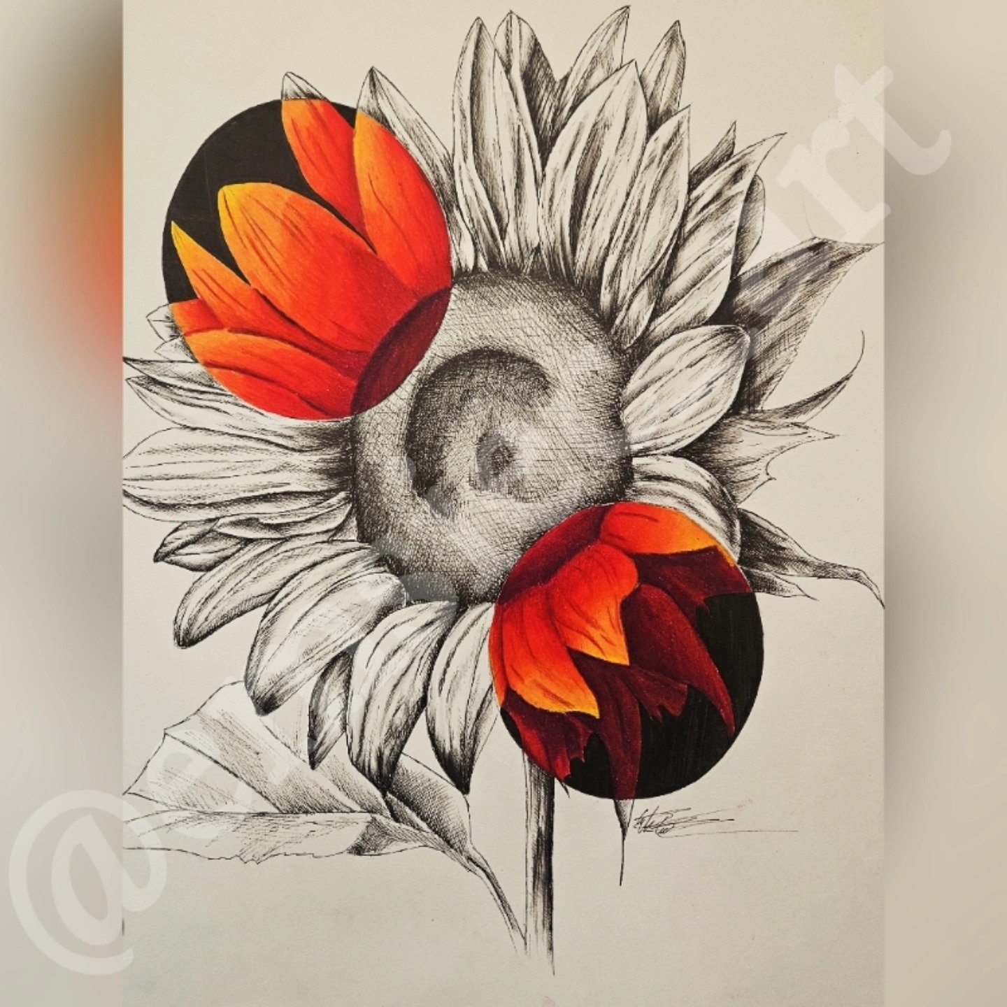 🌻Sunflower💛
.
I absolutely love sunflowers that I did my graduation photos in a sunflower feild!!! Definitely would do it again. I can't wait to do more flowers with crazy colors to make them more unique. I love doing similar color palletes to thei