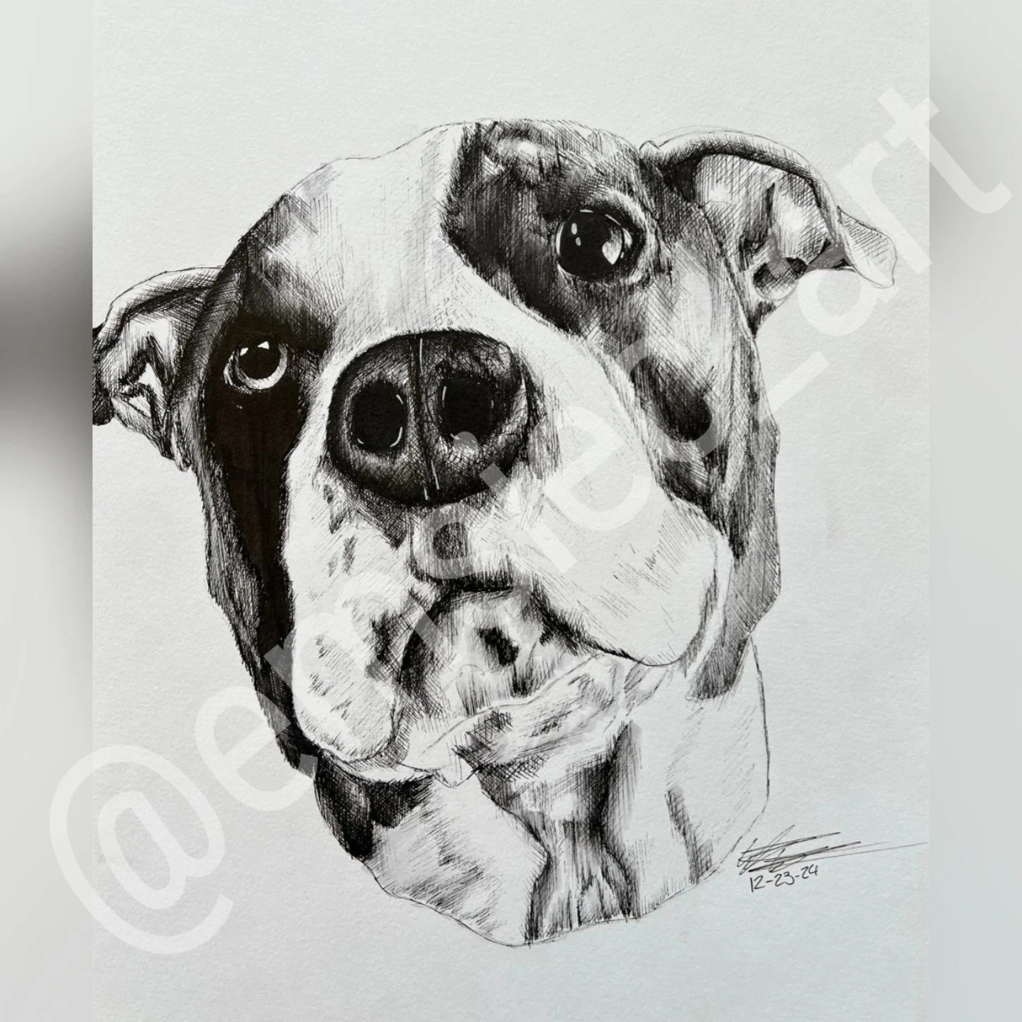 🐶Dog Portrait 4/4🐶
.
.
I had the sweetest opportunity to draw this dog for a client. She is a huge dog lover and has the sweetest bunch of them. They're all 9 x 12 inches, pen and ink with some copic to add some gray shading to them. 
.
She has a p