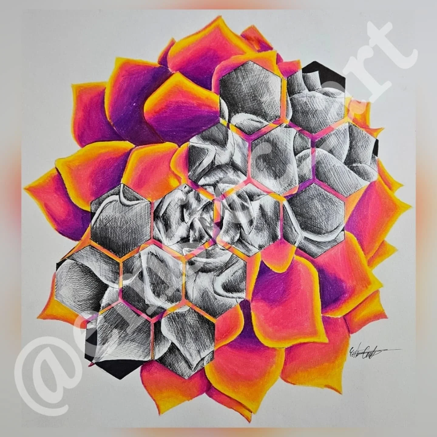 ❤️🧡Polly Pocket Succulent💛💜
.
.
This Succulent is a plant from our green house here at my college. I got excited and wanted to draw it for myself! I loved the process but definitely have things id change. Still super fun and cant wait to have stic