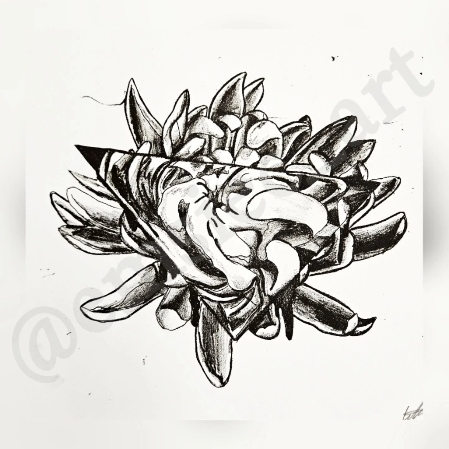 🌸🌺 Lithography printed, Chrysanthemum🌺🌸
.
I don't like posting my school work. But this was part one of my final for Lithography. For those who dont know what that is, its making prints with limestone. I sand down my stone evenly, draw it on with