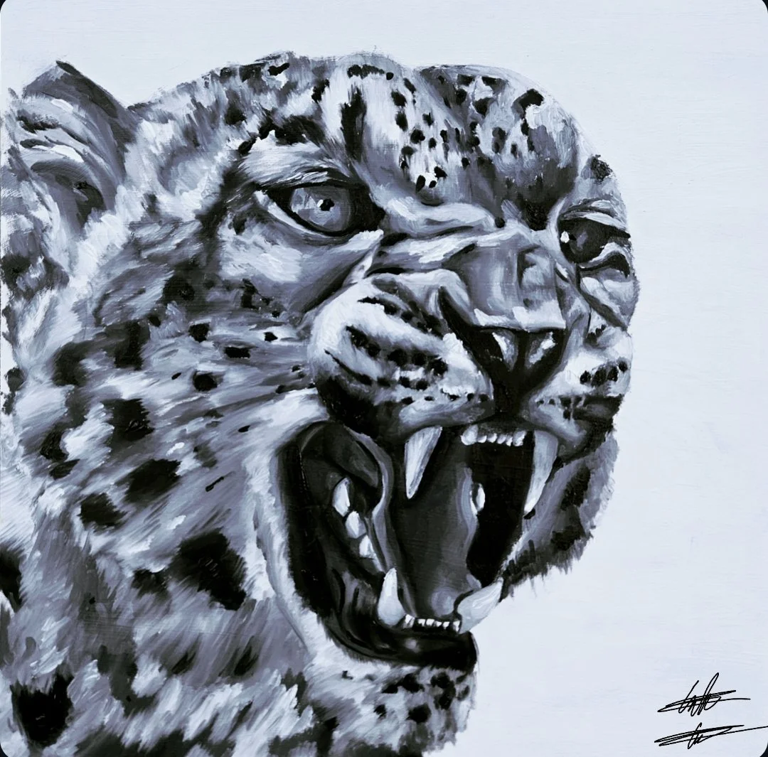 Snow Leopard 1 of 1