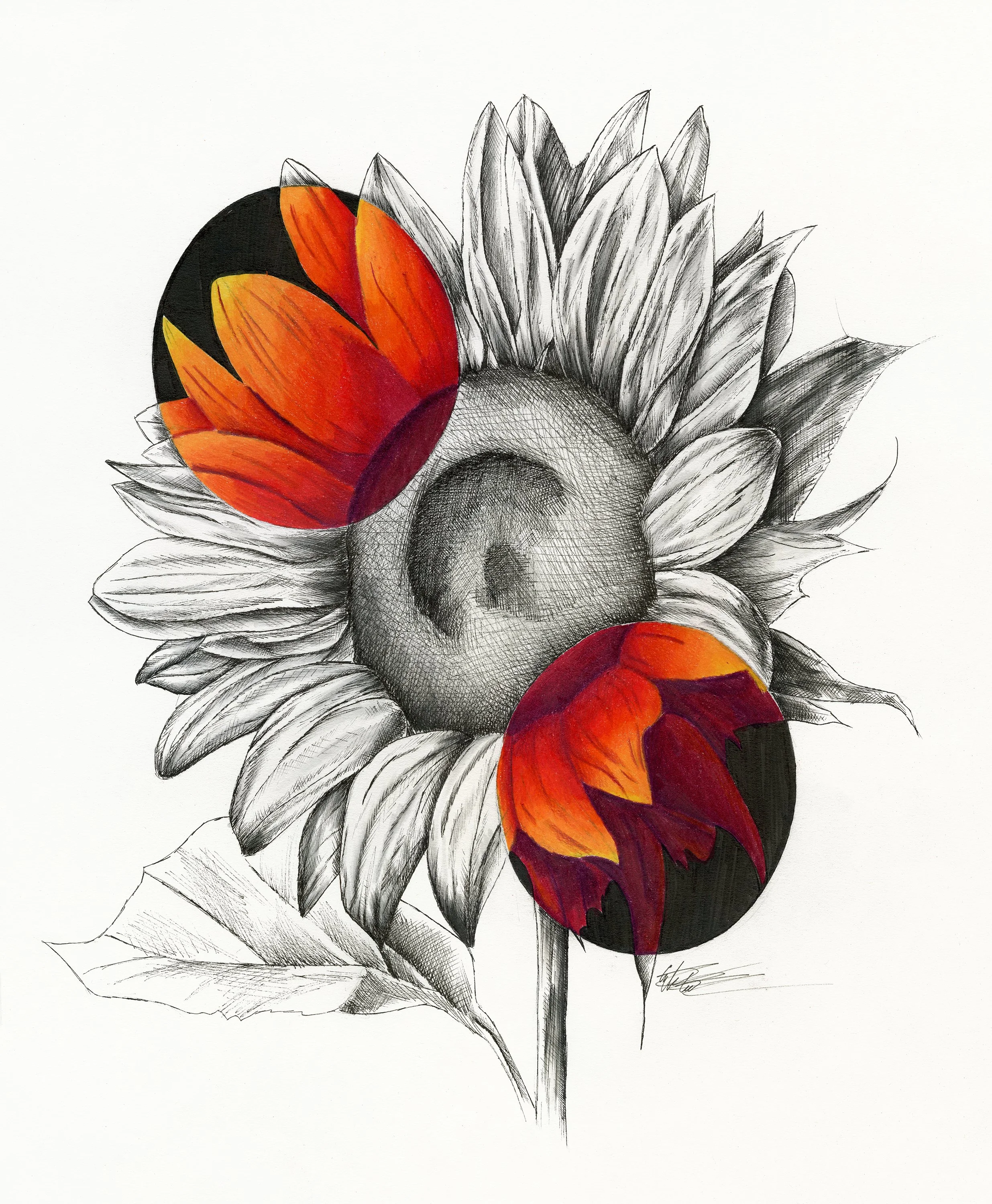 Sunflower_14x17_cn_hotpress_v3 copy.jpg