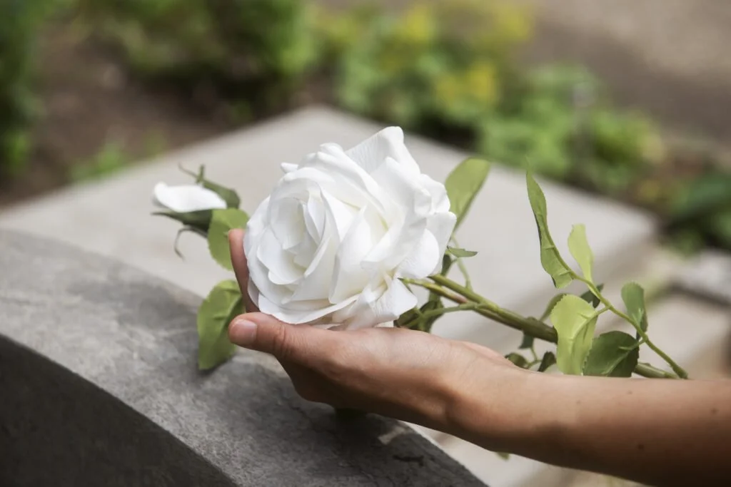 Une main tient une rose blanche avec des feuilles vertes contre un arrière-plan flou.