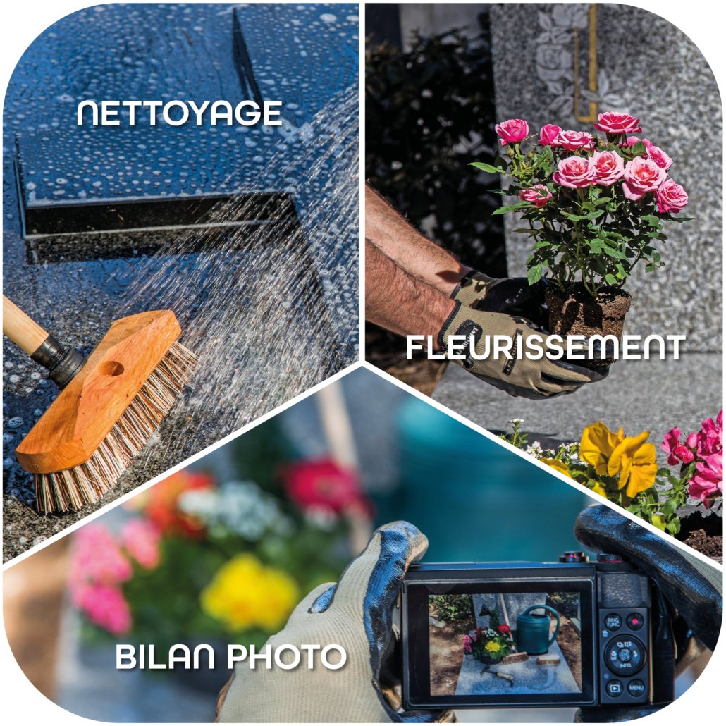 Trois étapes de l'entretien des plantes : nettoyage avec une brosse sous la pluie, fleurissement avec une personne tenant une plante en pot, et prise de photo d'une composition florale avec un appareil photo.