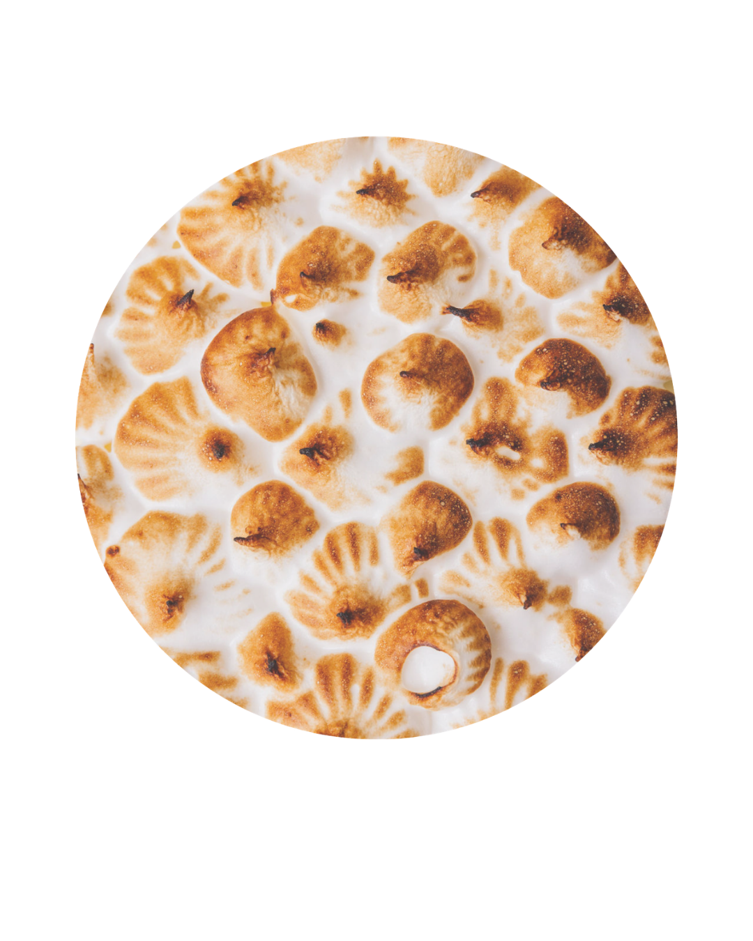 Round dessert topped with toasted marshmallows.