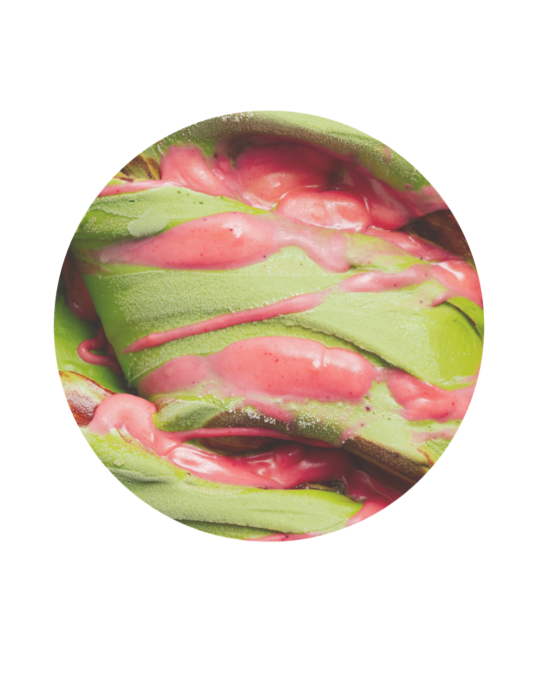 Close-up of a partially opened pink and green tulip flower.