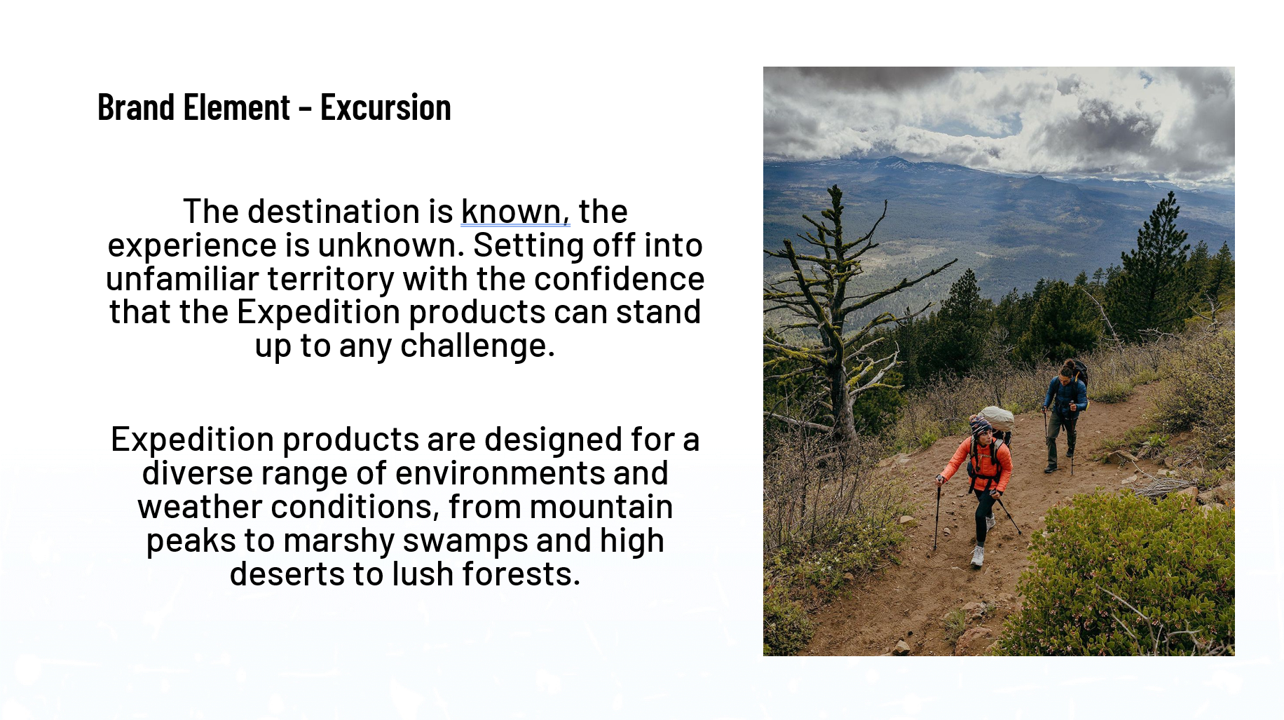 Brand Guidelines - Expedition Element.png