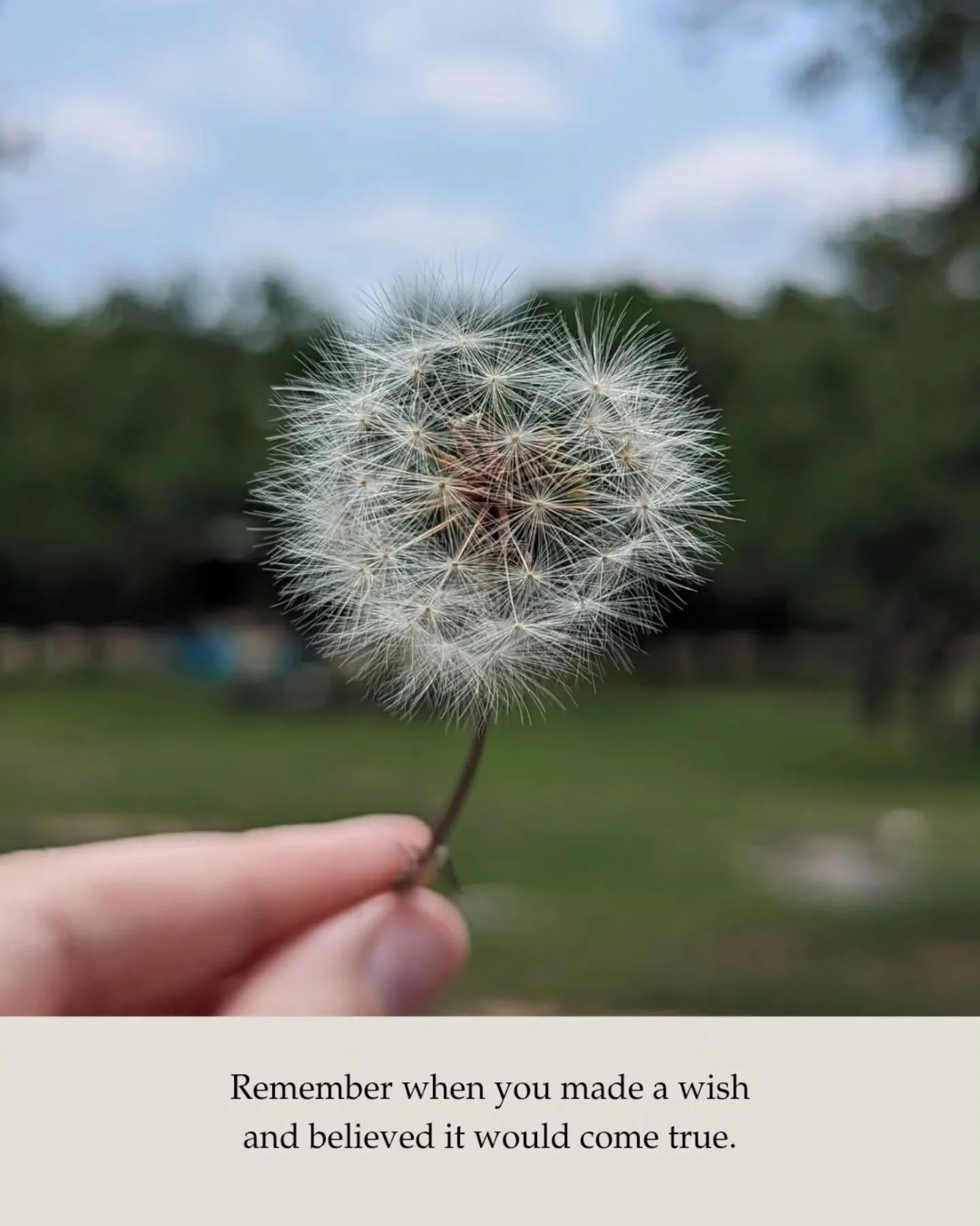 Somewhere along the way we stopped making wishes on dandelions&hellip;
but the things we hoped for were never really that complicated.

Time outside.
Laughter that lasts too long.
Firelight and stories under the stars.
Everyone in the same place agai