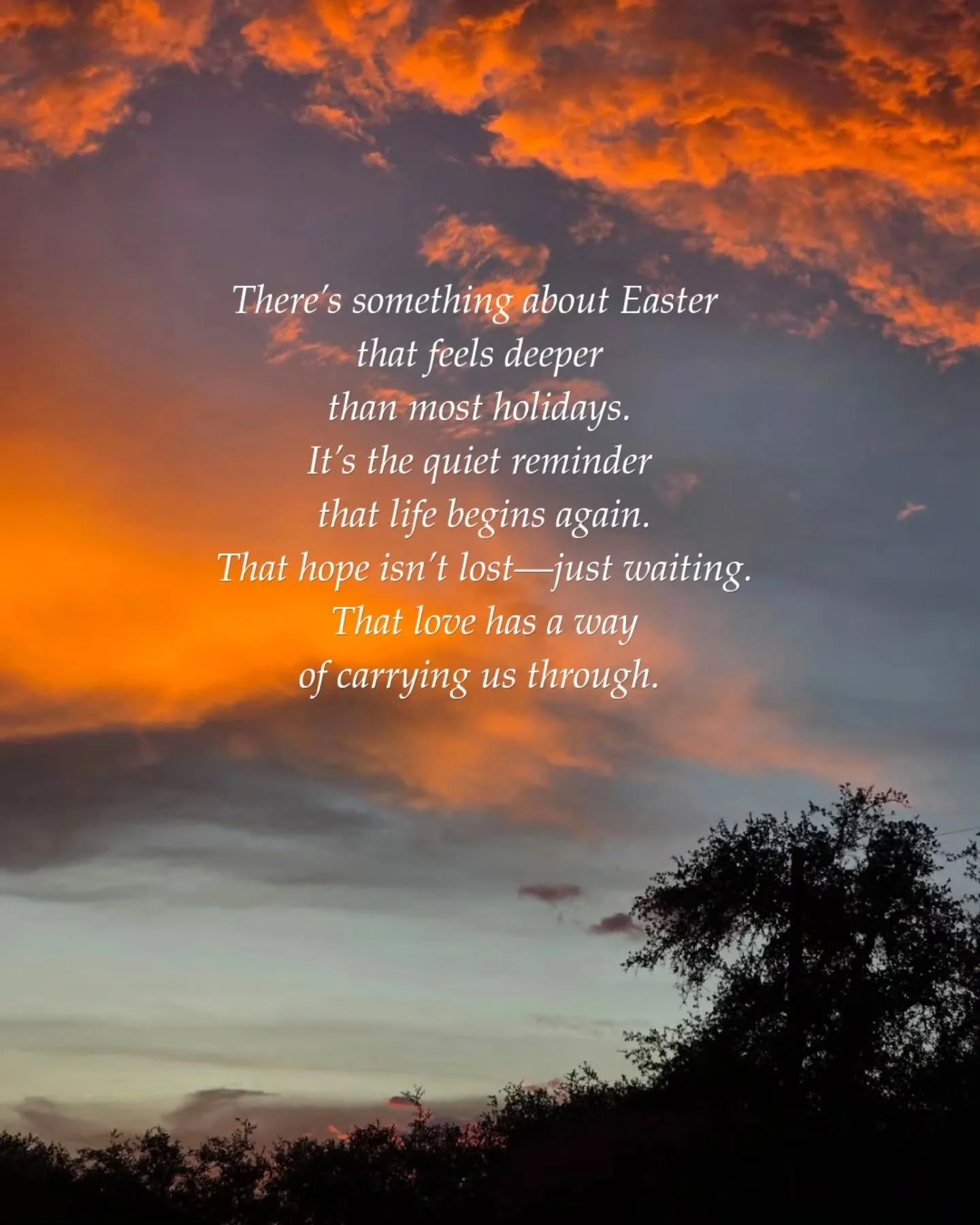 ✨️ Happy Easter ✨️