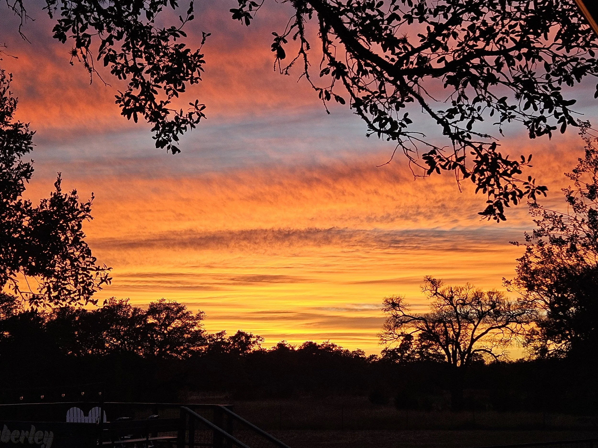 Colorful sunset over the trees at The Gathering in the Texas Hill Country.