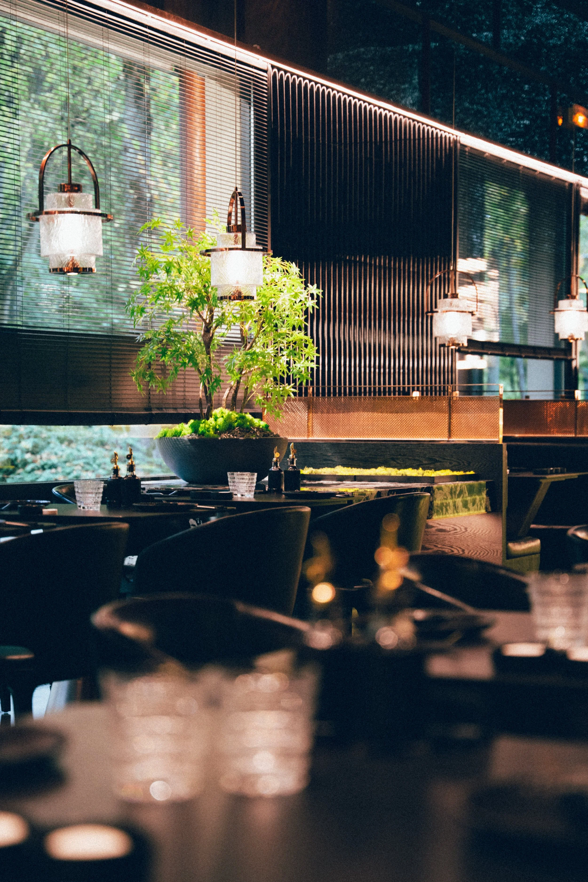 Intérieur d'un restaurant ou d'un café avec une grande fenêtre, des lampes suspendues, une table avec des assiettes et des verres, et une plante verte près de la fenêtre.