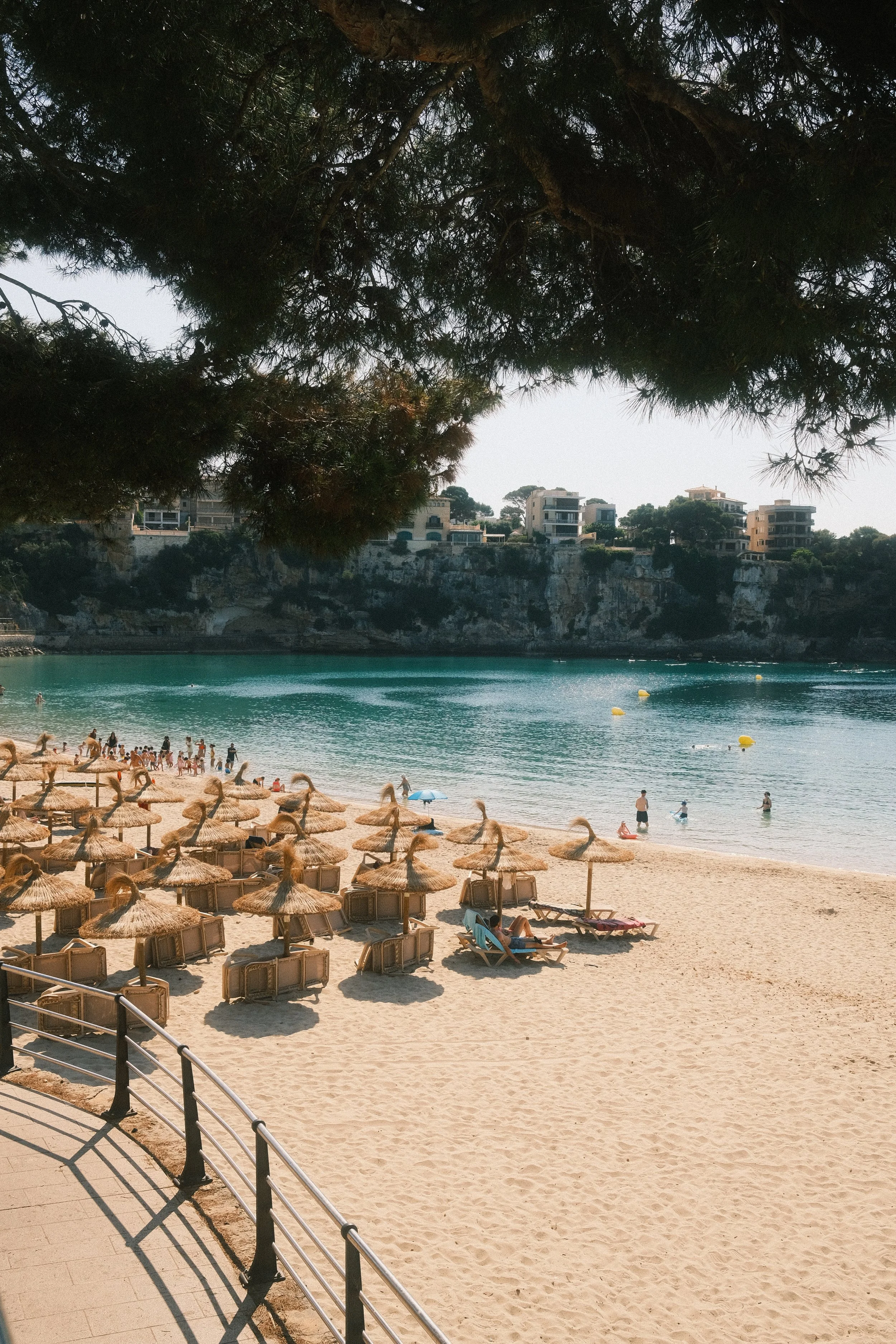 Une plage avec des parasols en paille, des chaises longues et des baigneurs dans l'eau, sous un arbre permettant de voir des bâtiments modernes au fond.