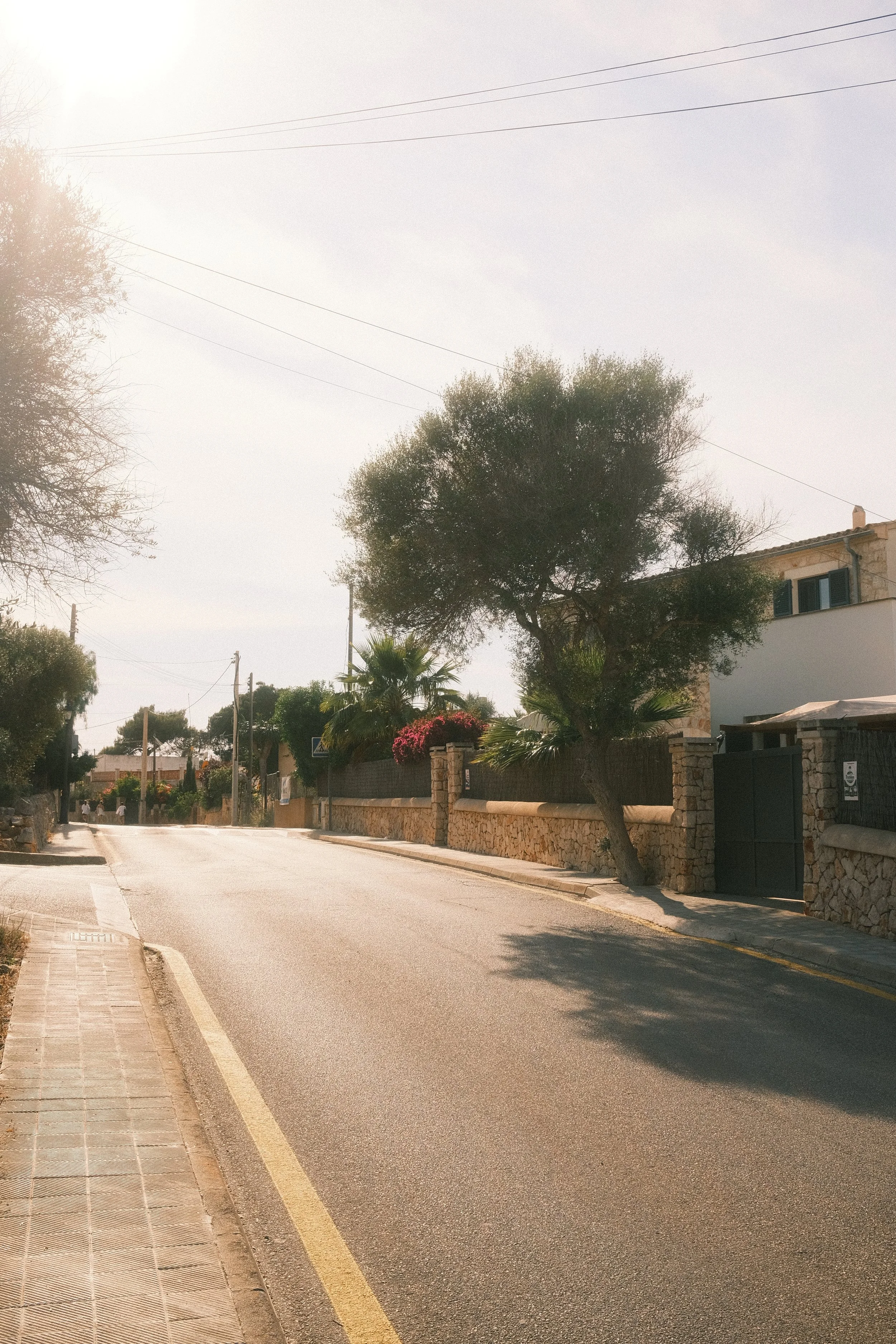 Une rue pavée bordée de murs en pierre, avec des arbres et des maisons en arrière-plan. Il fait soleil et le ciel est clair.