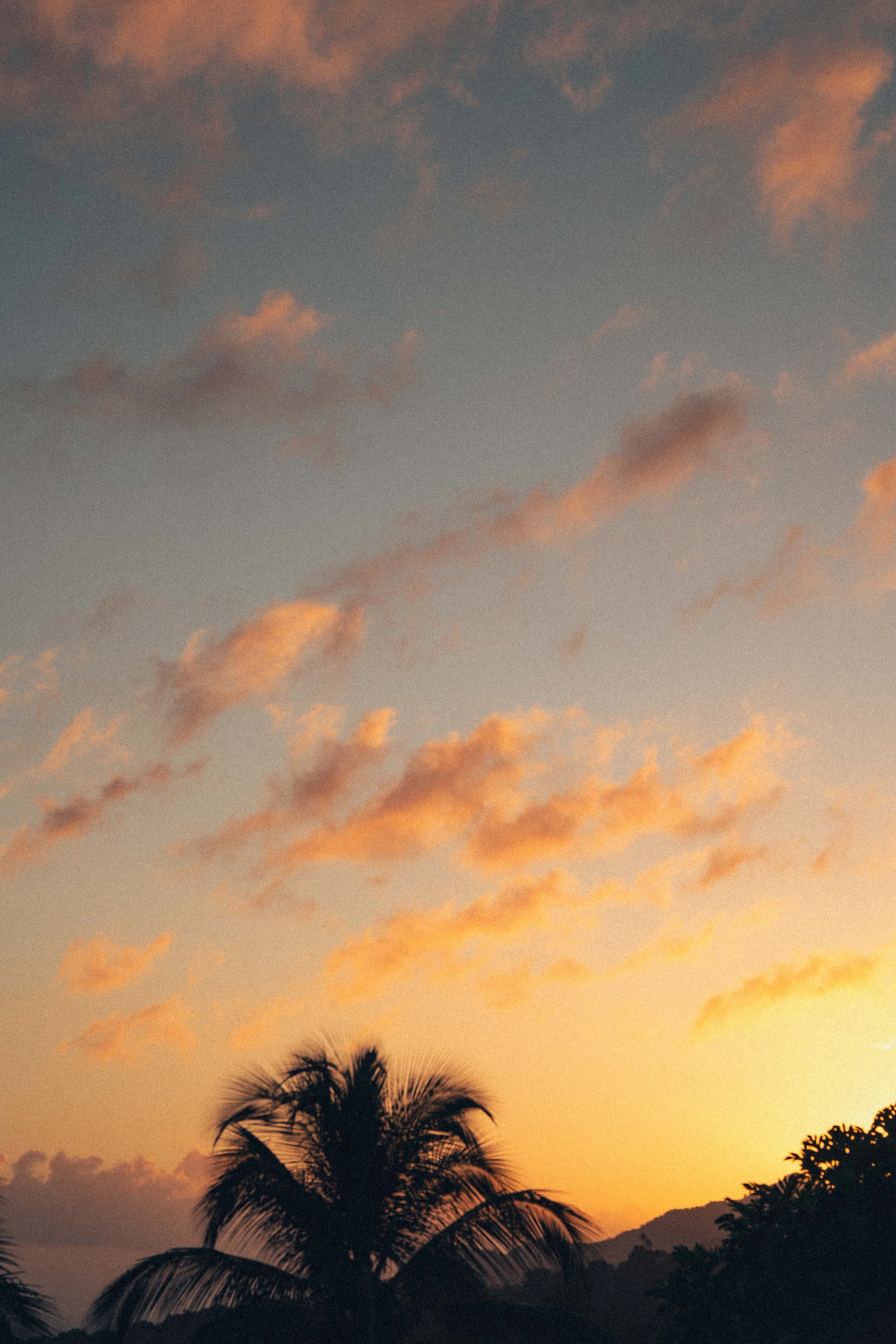 Coucher de soleil avec ciel orangé et nuages, silhouettes de palmiers et montagnes en arrière-plan.