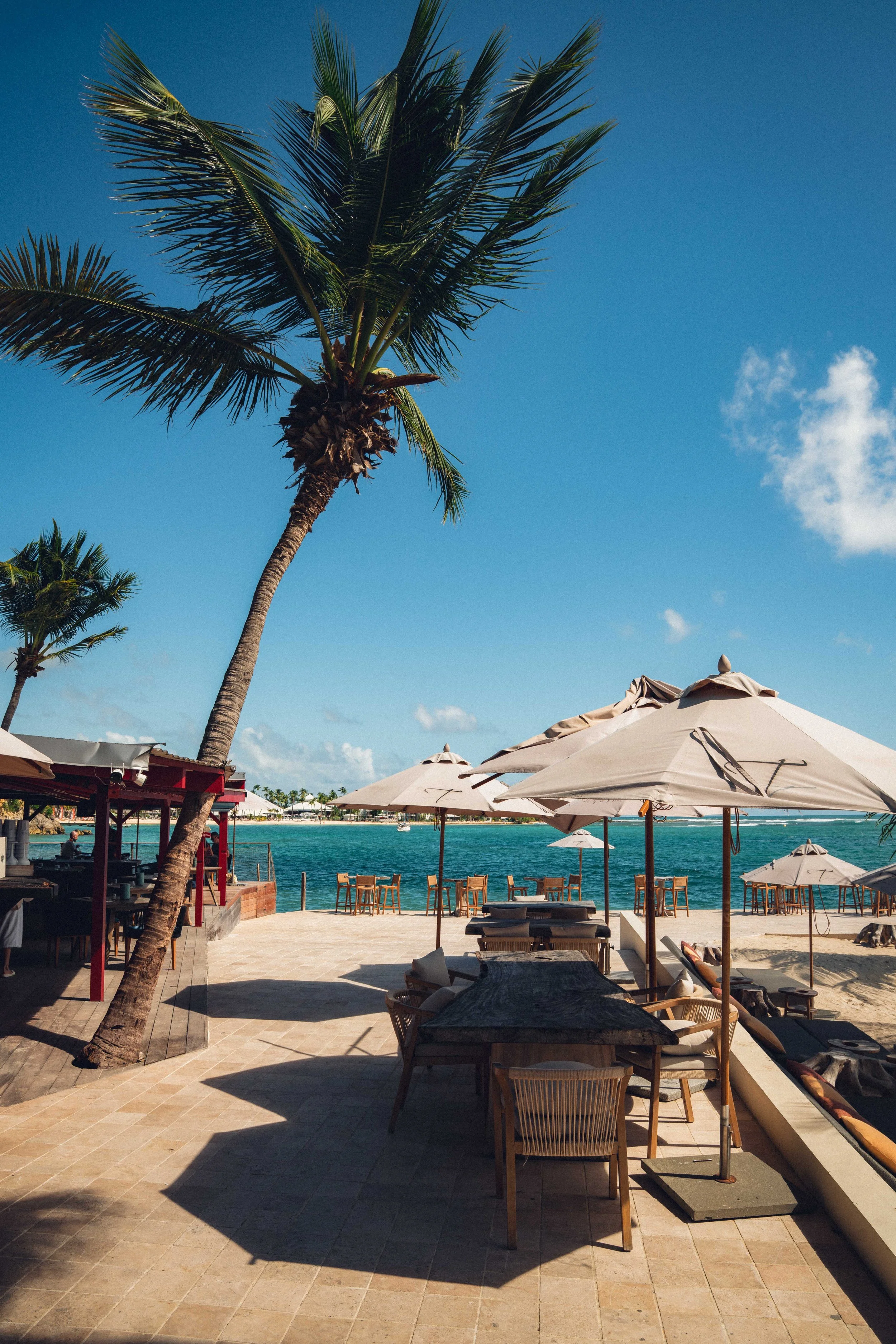 Une vue d'une plage avec des parasols blancs en bord de mer, quelques tables et chaises en bois, une palmeraie et un ciel bleu avec quelques nuages.