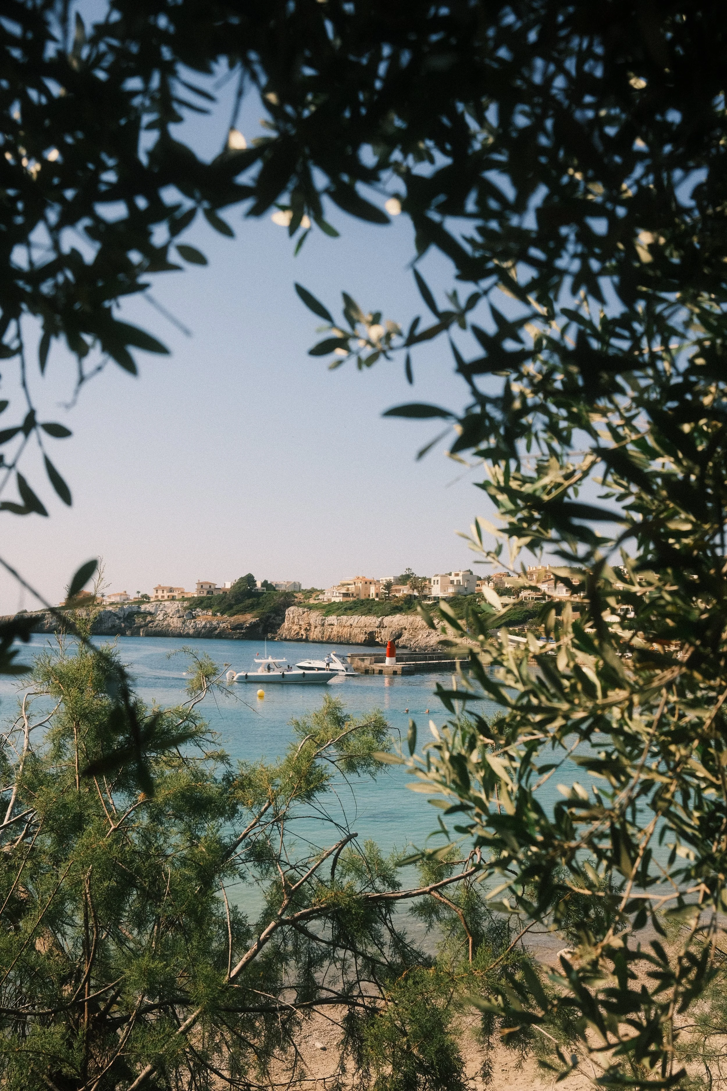 Vue d'un port avec des bateaux, des maisons en arrière-plan, encadré par des branches d'arbre en premier plan.