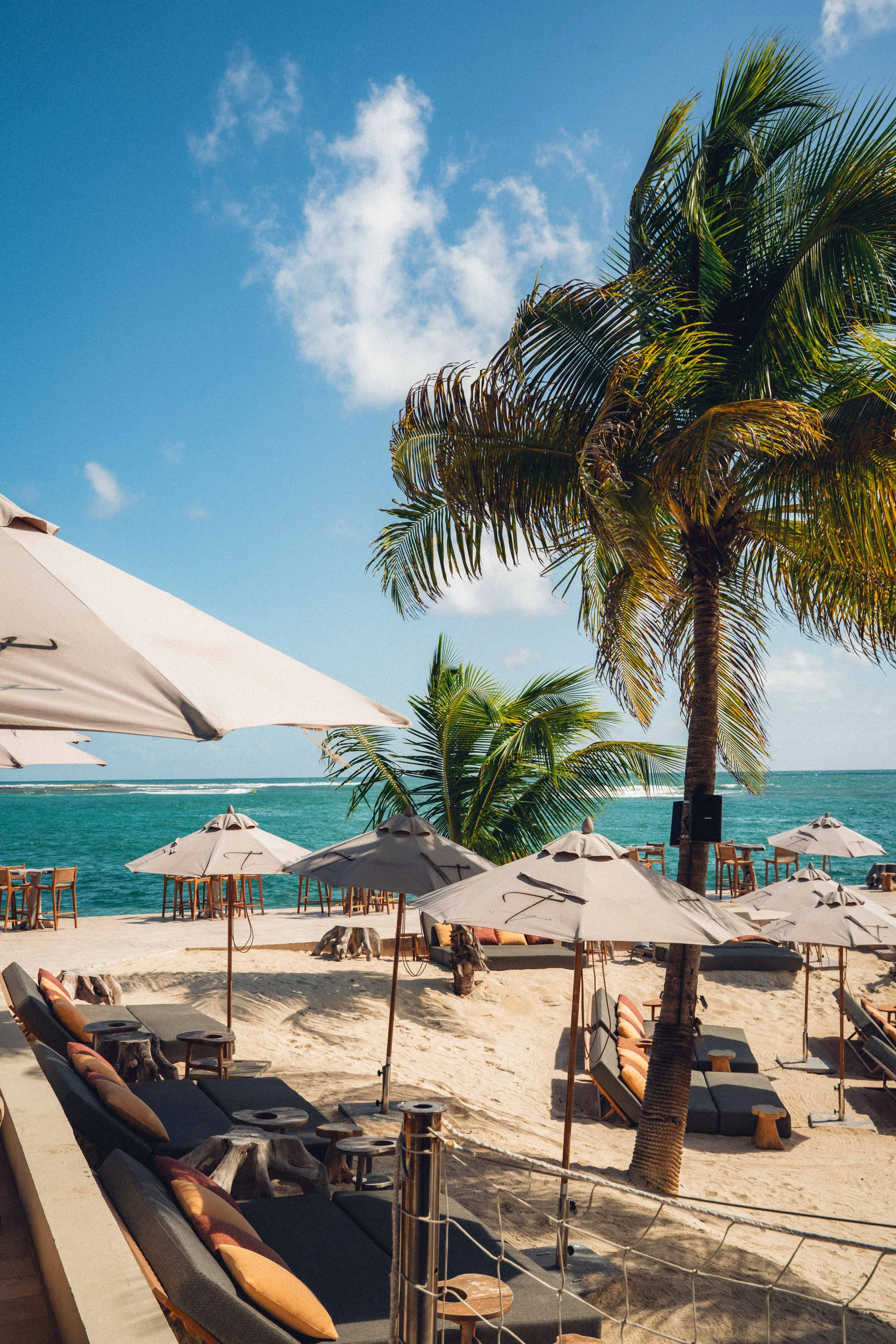 Plage avec parasols, chaises longues et palmiers, vue sur l'océan et ciel bleu avec quelques nuages.