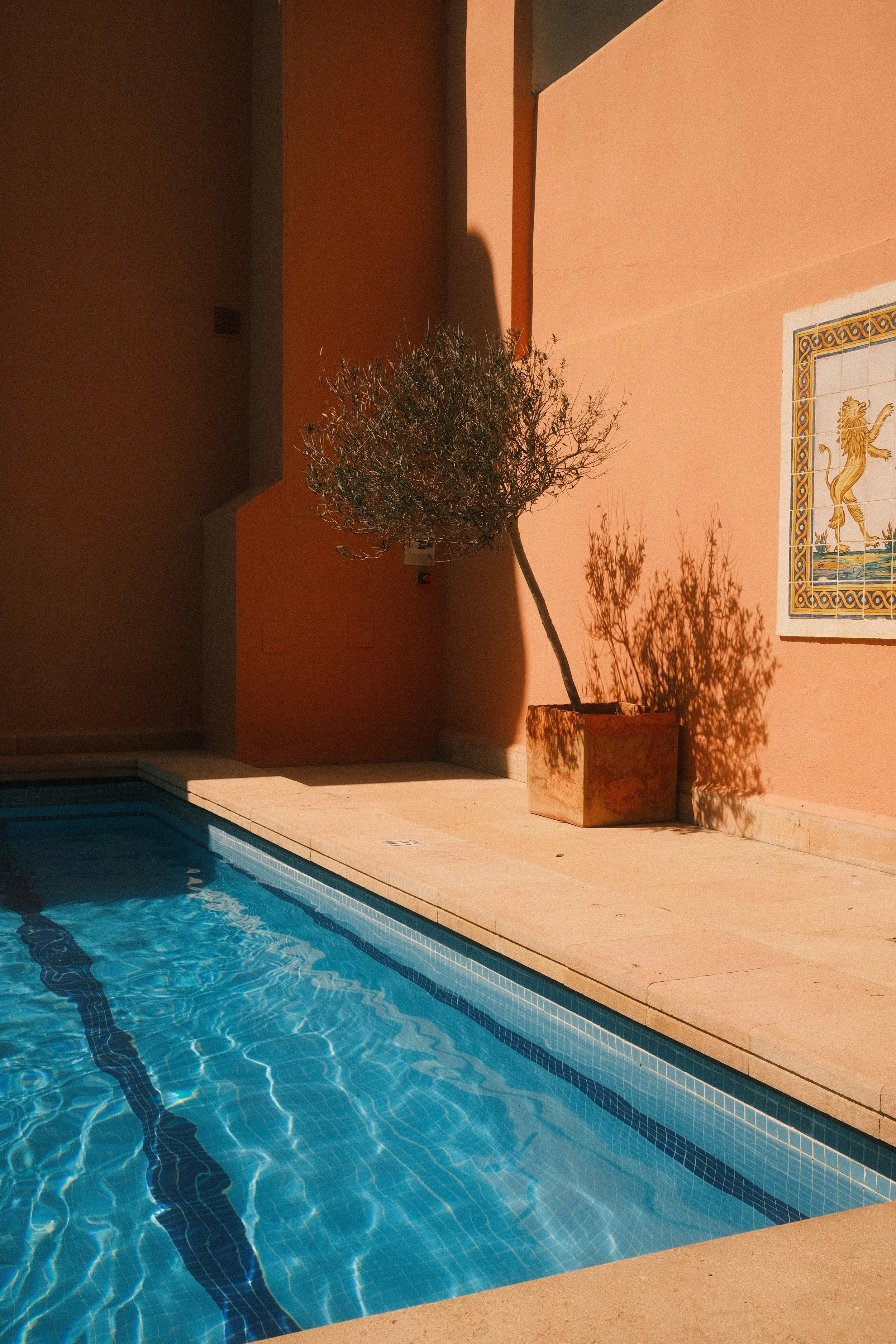 Une piscine avec une brique d'angle en béton, une murale décorative avec un lion, et un arbre en pot contre un mur orange