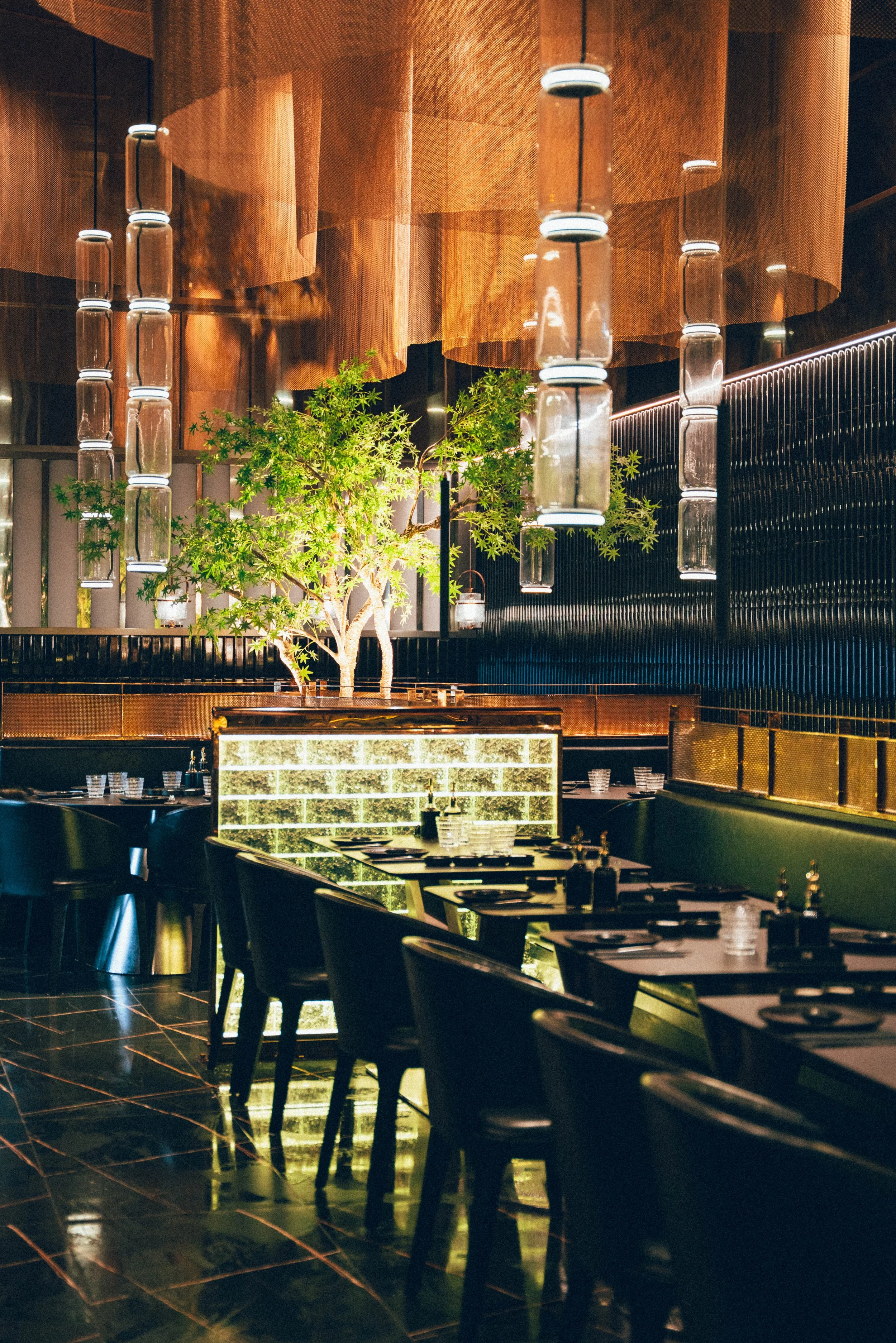 Un intérieur de restaurant élégant avec des tables noires, des chaises noires, un bar avec un mur en briques éclairées, un arbre décoratif dans un pot et des installations lumineuses suspendues en forme de cylindres en verre.