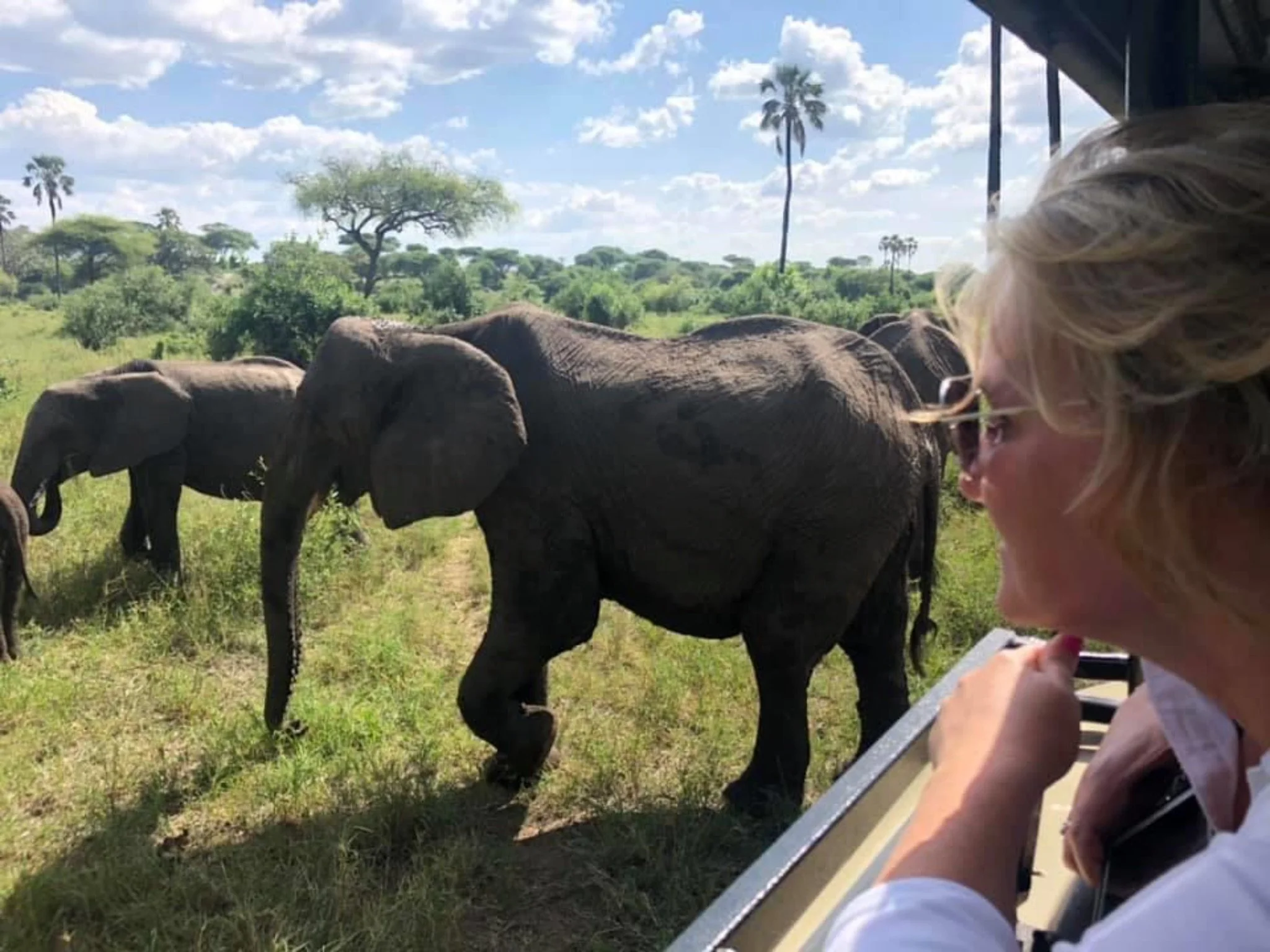 Safari Travel After Menopause