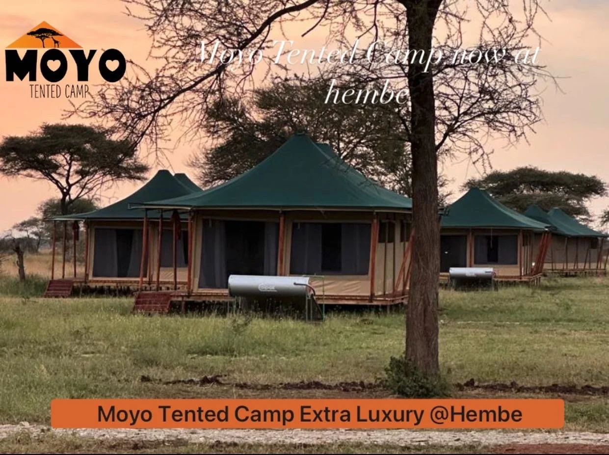 Our Extra luxury now at Hembe Serengeti National Park 30km from the Seronera Airport we here to make your Serengeti stay more enjoyable and comfortable visit our website for more informations www.moyotentedcamp.com
info@moyotentedcamp.com#luxury #cam