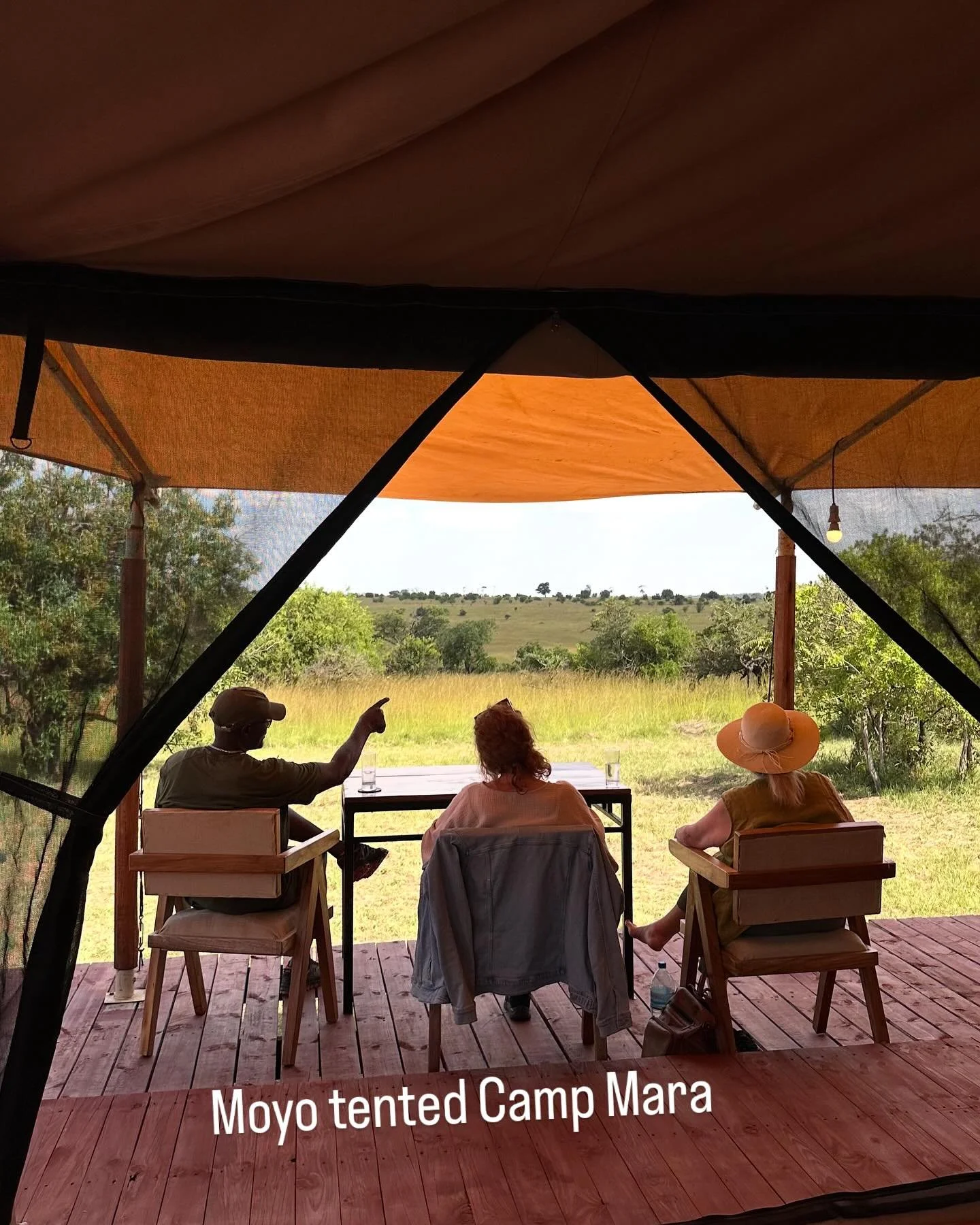 We are a group of professionals who value both luxury and tranquility, and from the information we have gathered, your property appears to perfectly embody these qualities. The prospect of waking up to the stunning Serengeti view each morning is trul