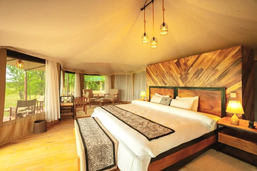 Quality Sleep on Safari