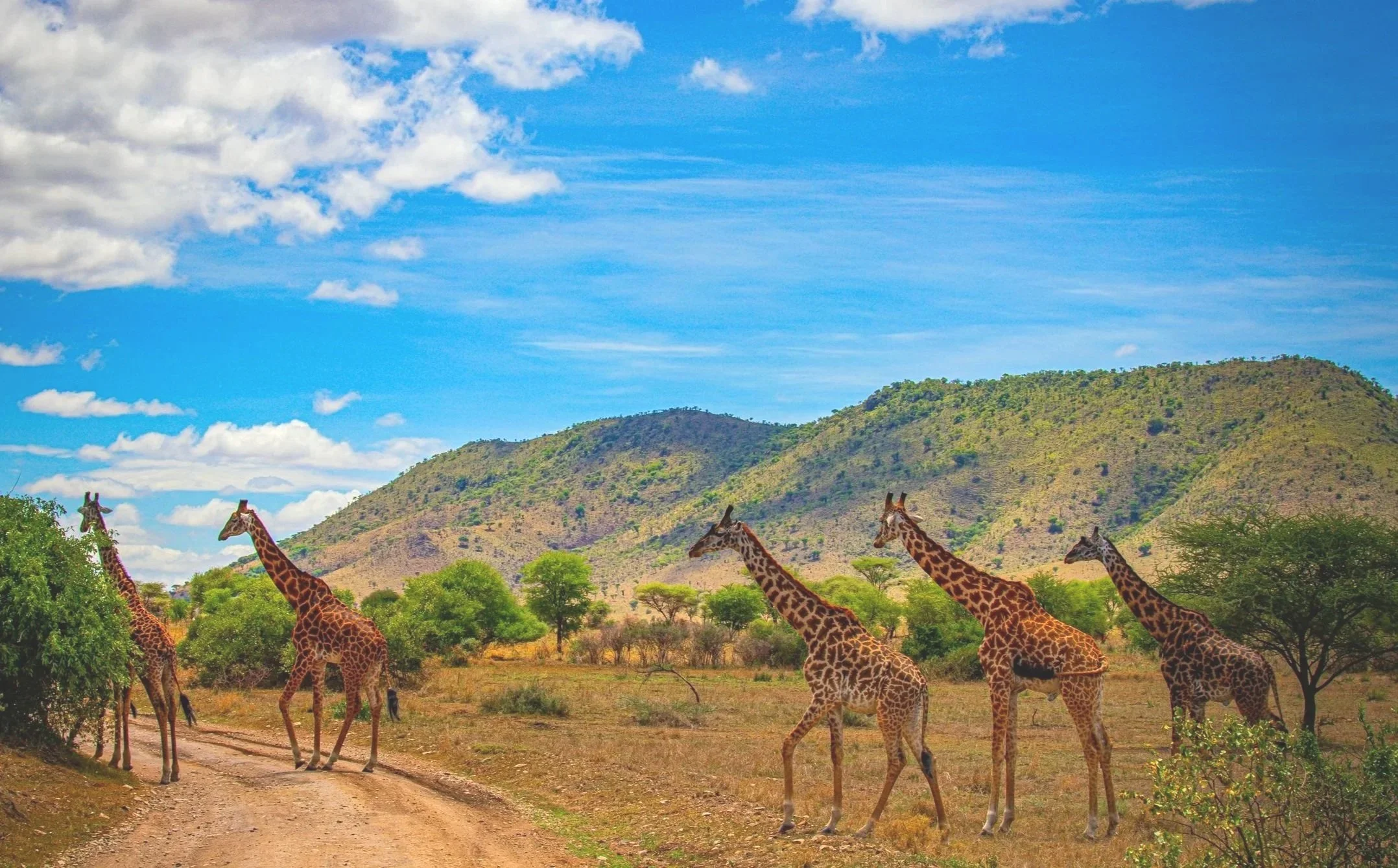 About Serengeti National Park